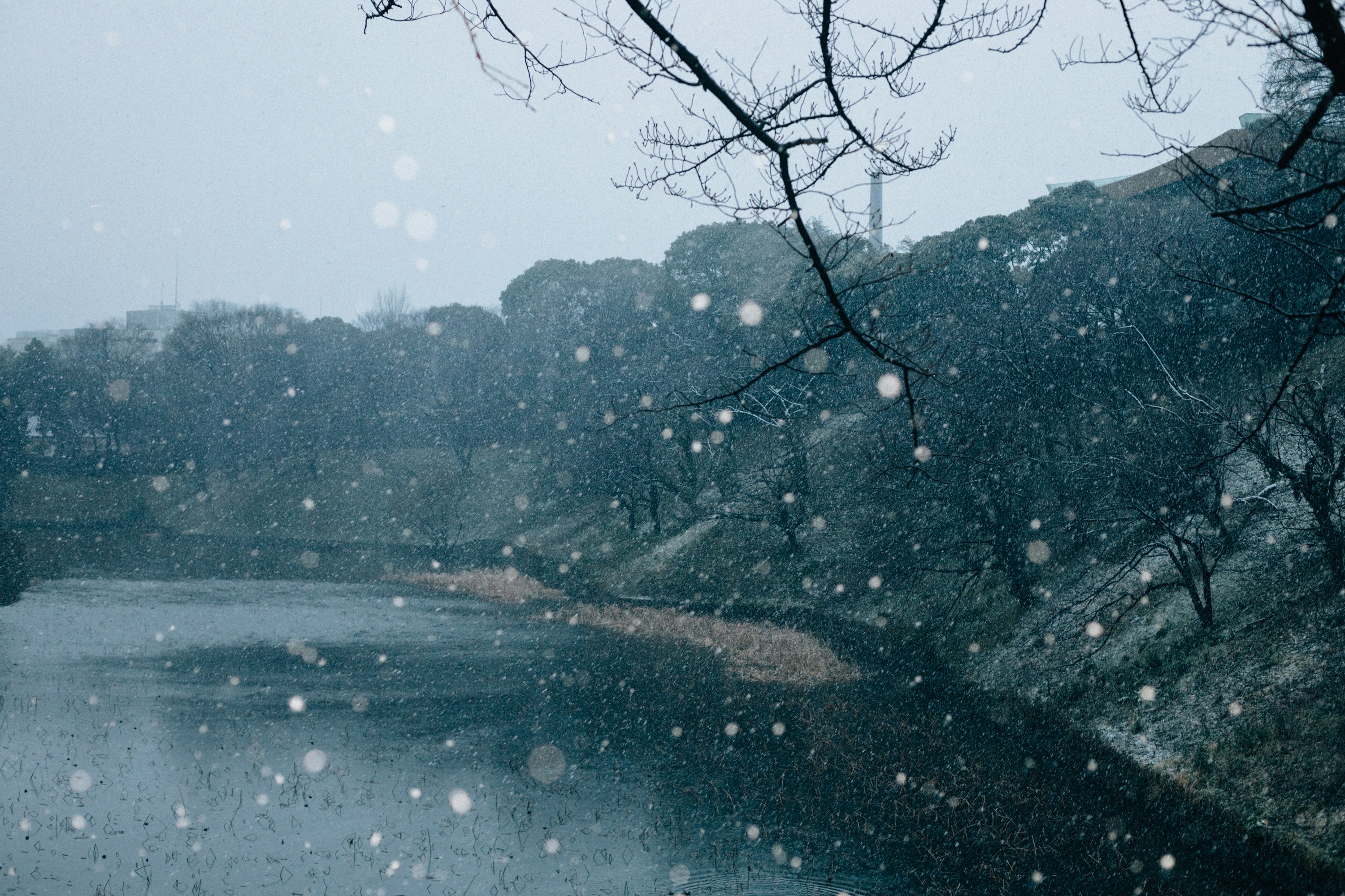 Photo by tsuyoshikozu