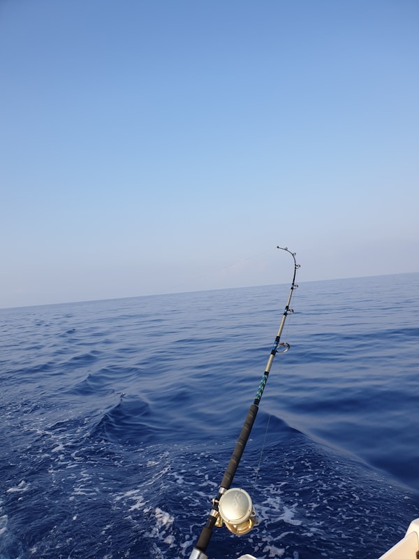 Offshore Fishing