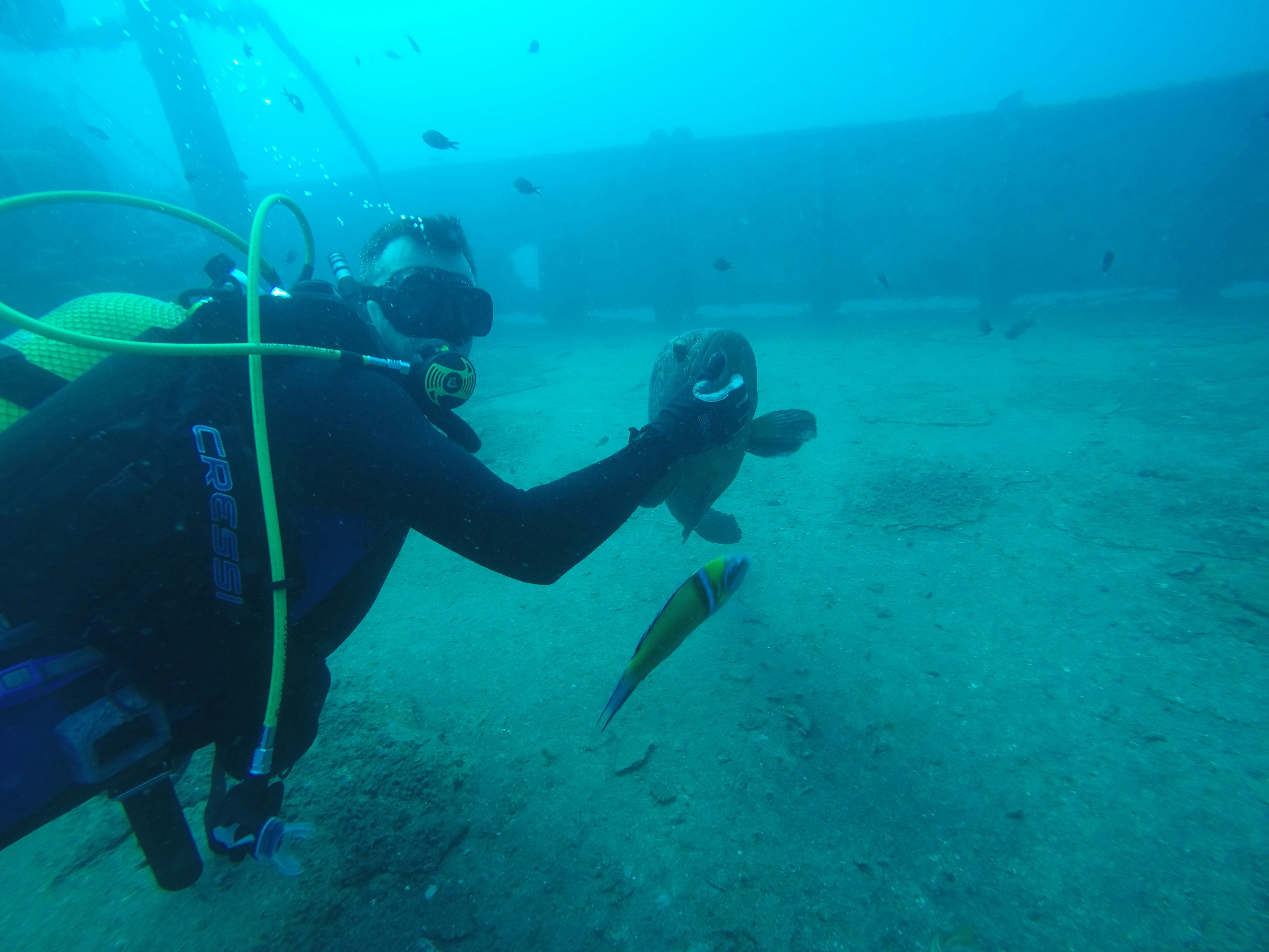 woman wearing yellow long-sleeved dress under white clouds and blue sky during daytime