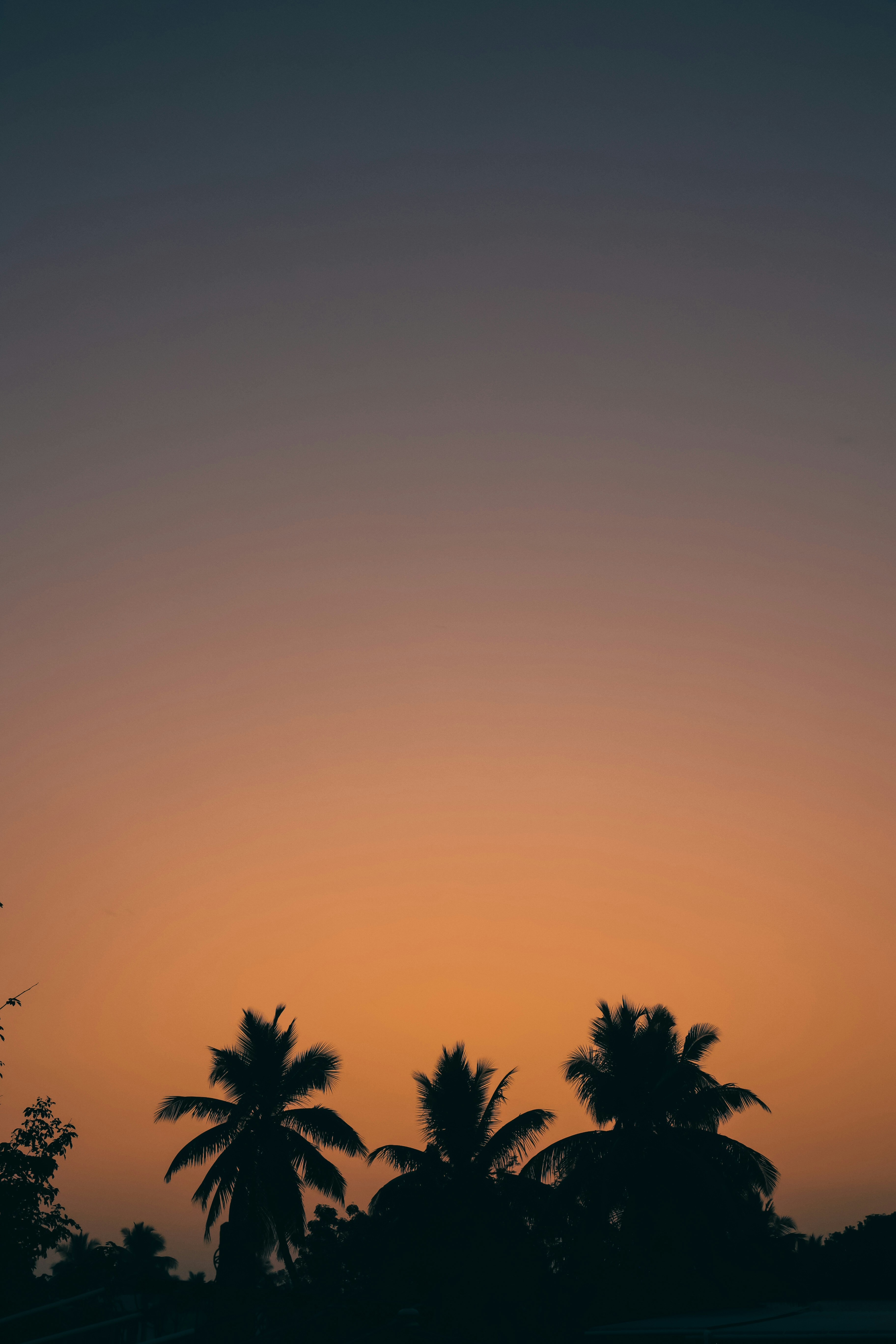 Photo by whitx