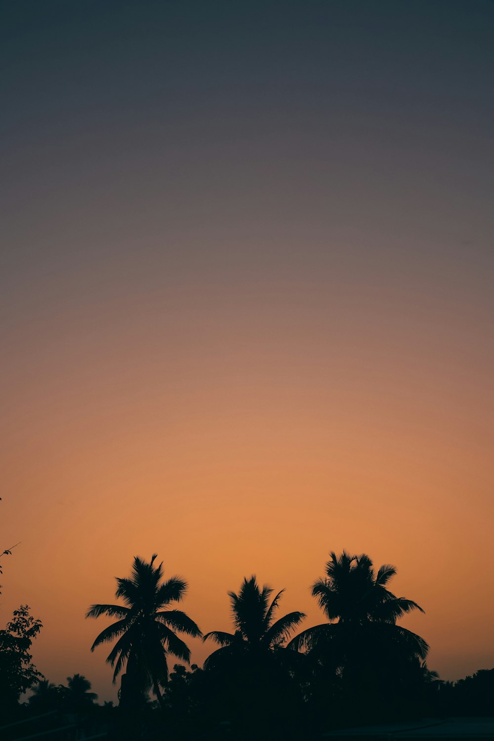 a plane is flying in the sky at sunset