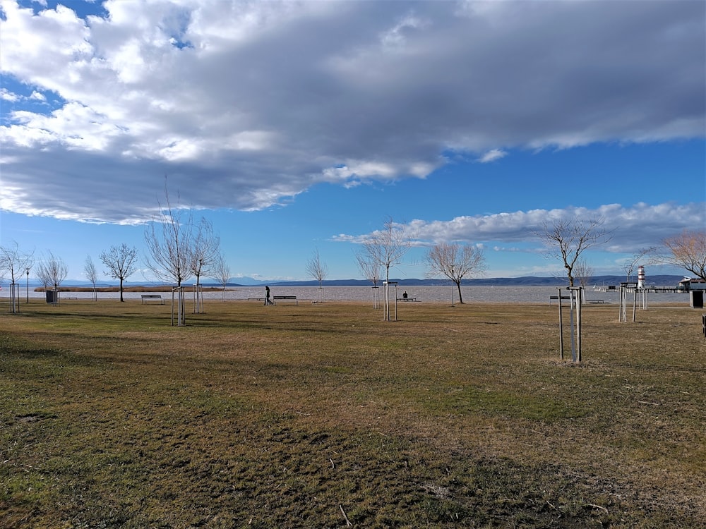 a grassy field with trees and a body of water in the background