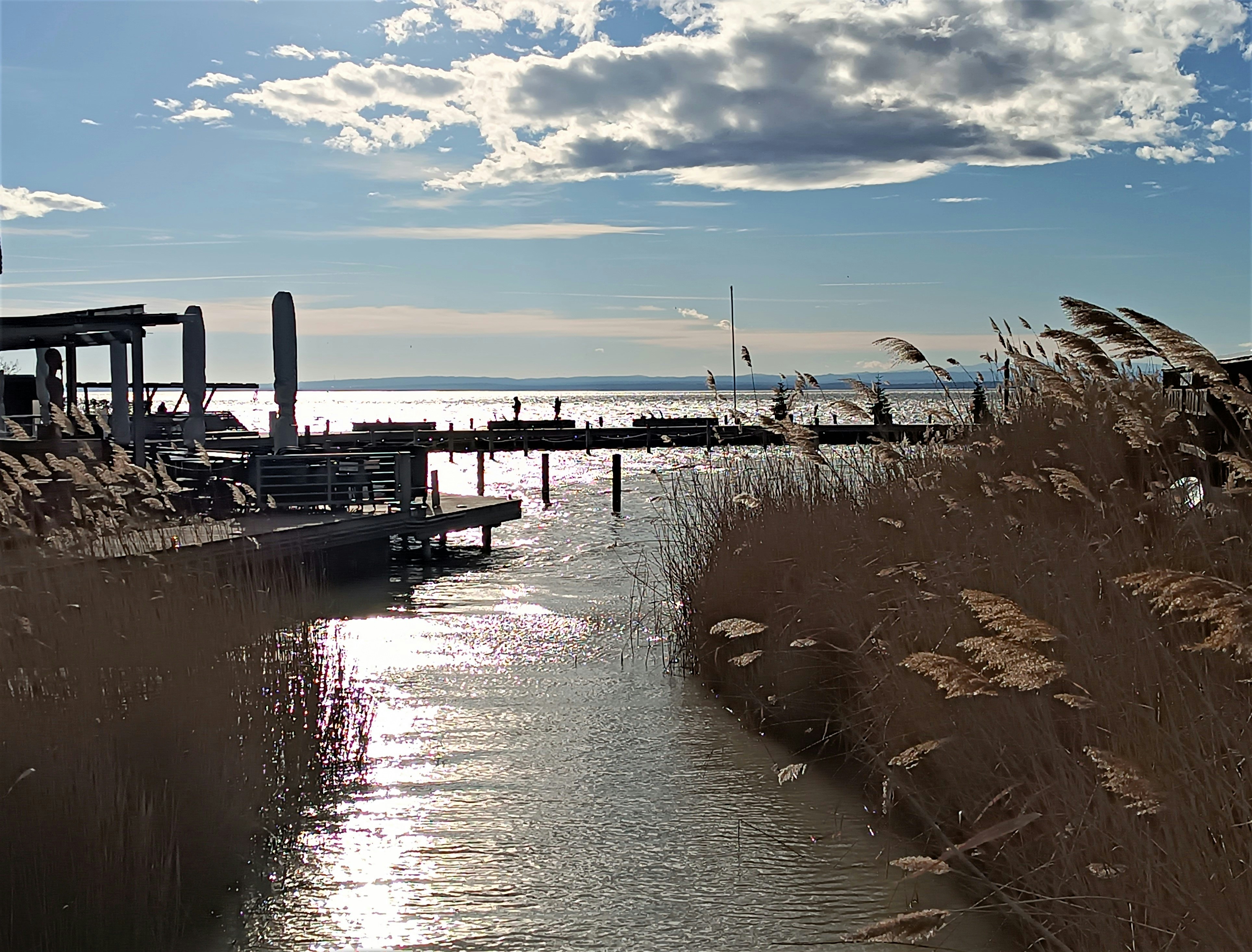 Photo by oxganggreen