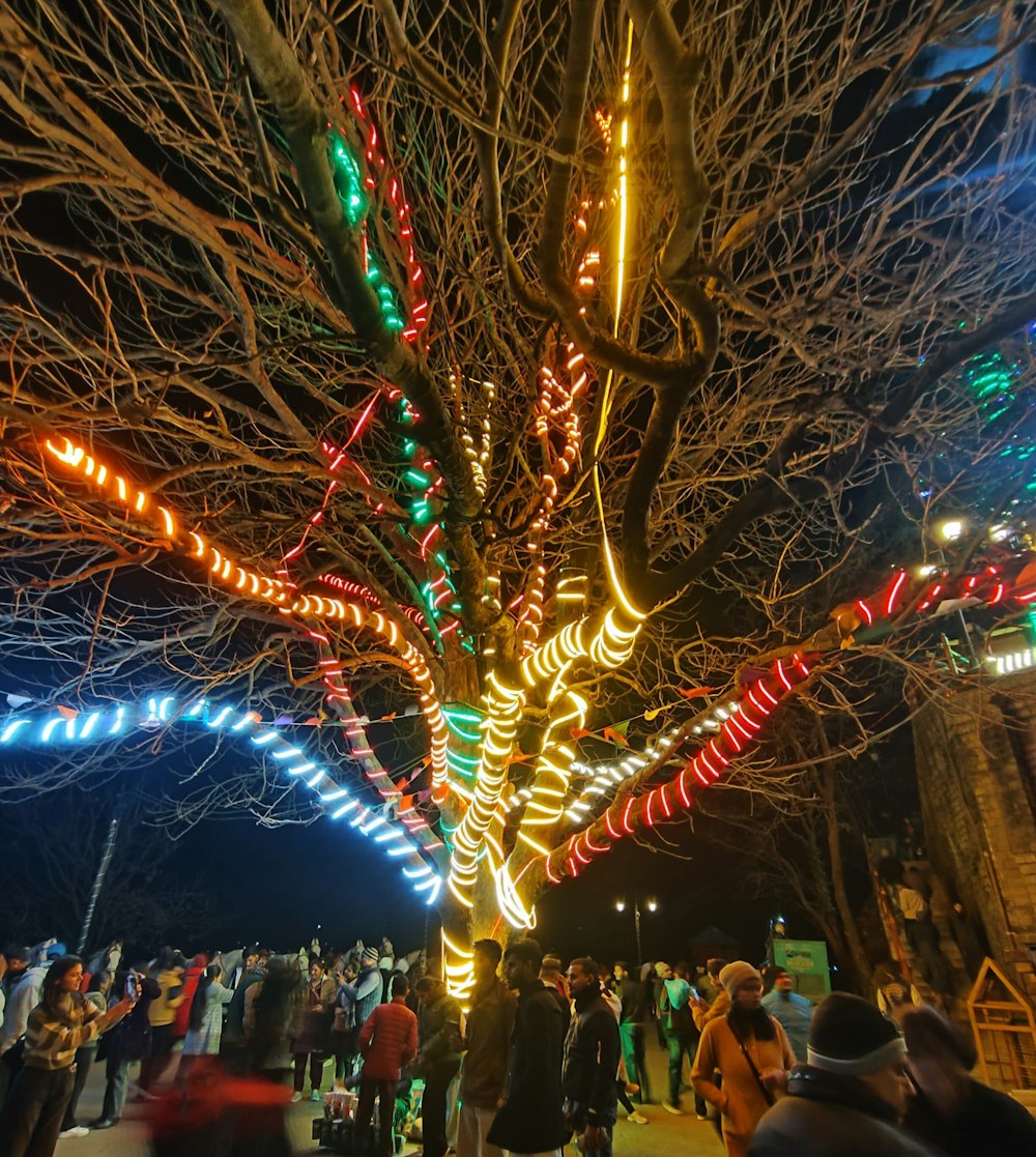 Un groupe de personnes debout sous un arbre couvert de lumières de Noël