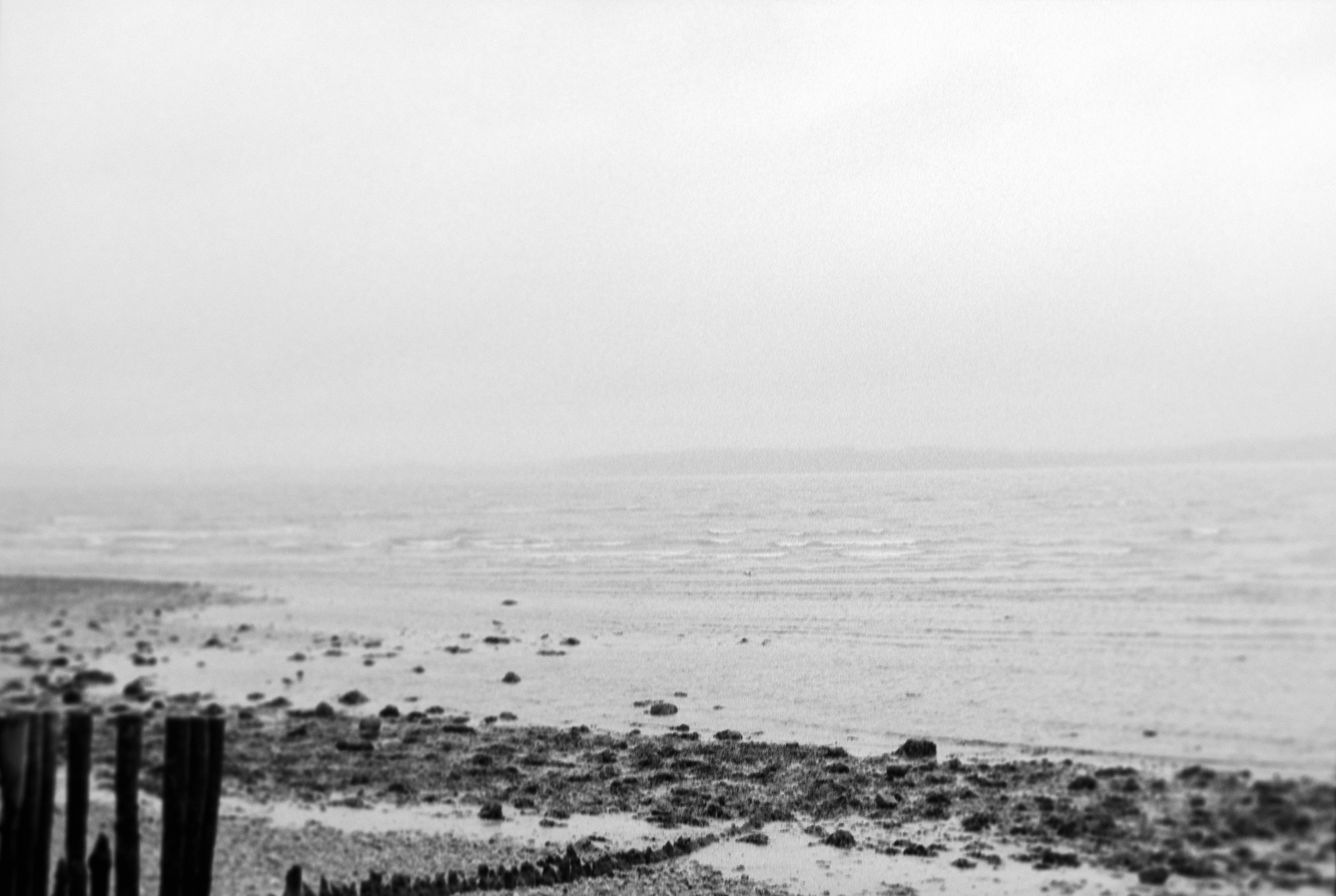 Photo by anniespratt