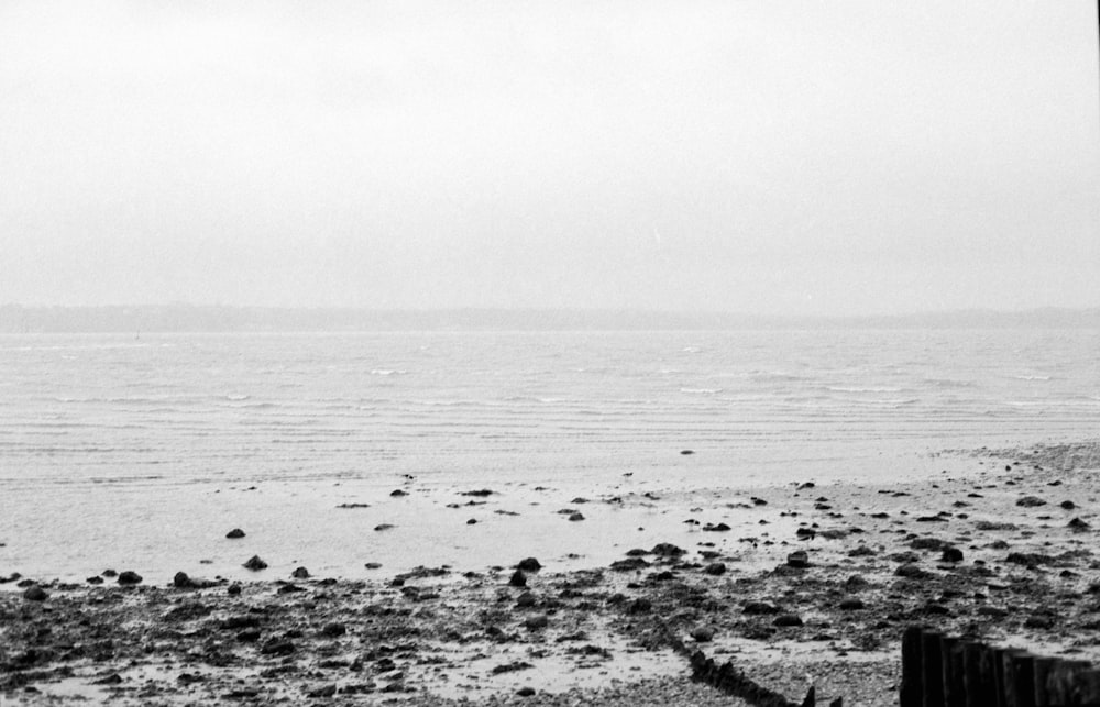 a black and white photo of a beach