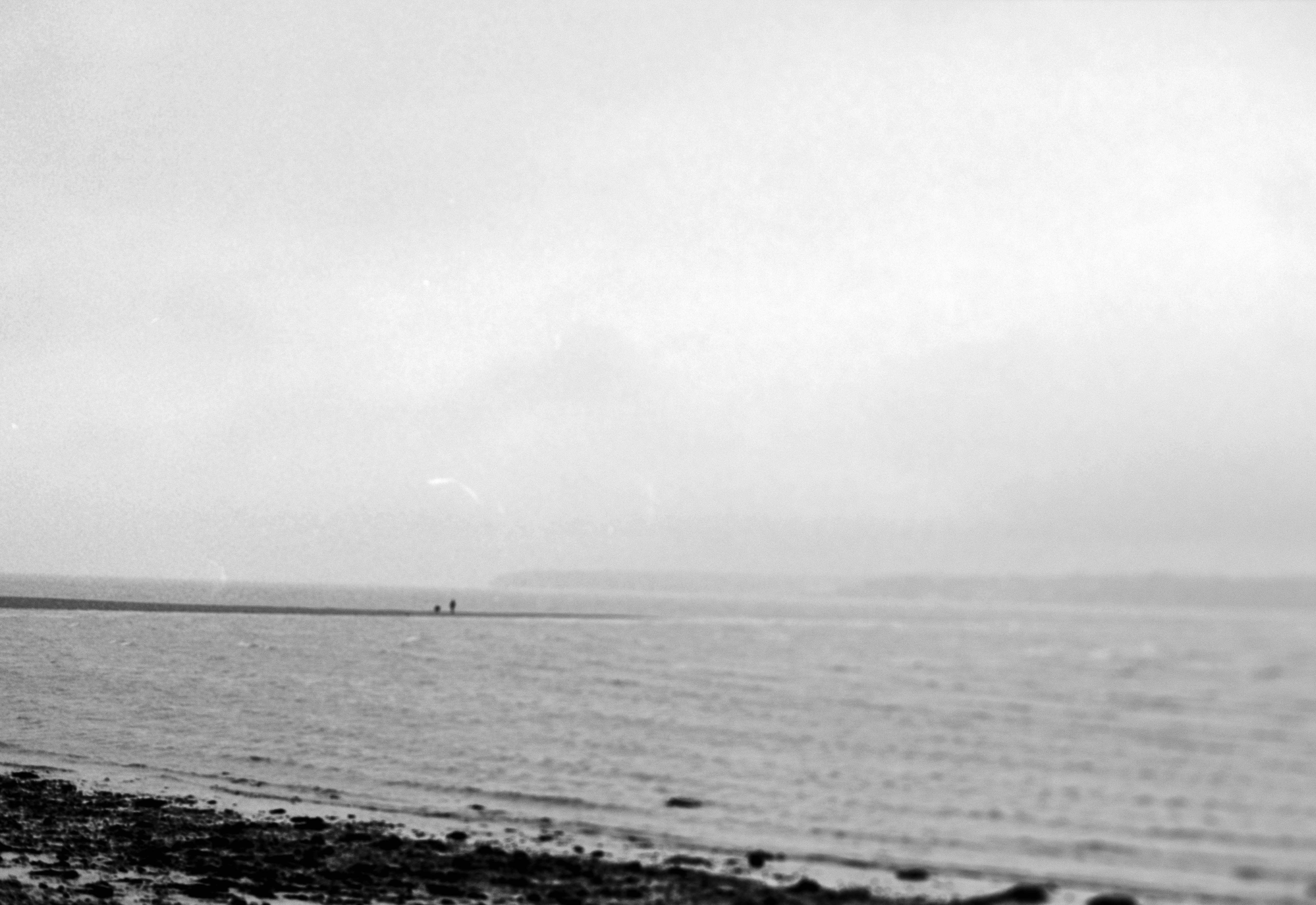 Photo by anniespratt