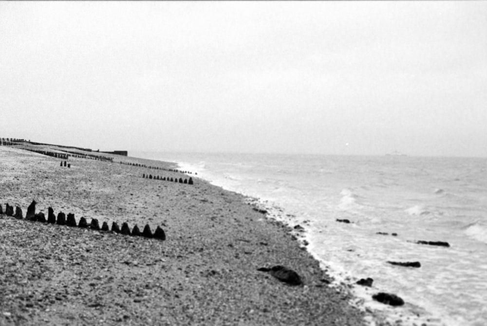 a black and white photo of a beach and ocean