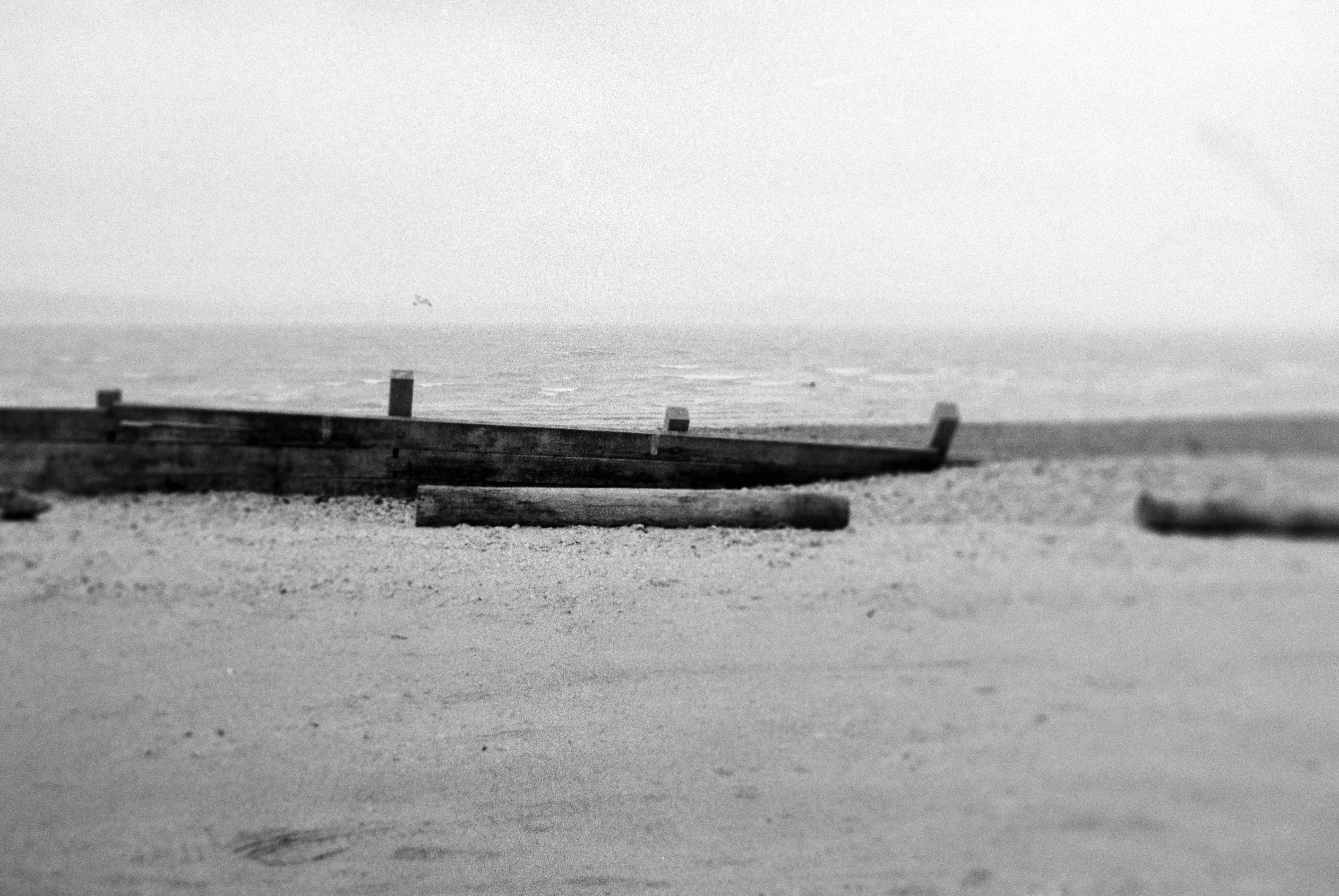 Photo by anniespratt