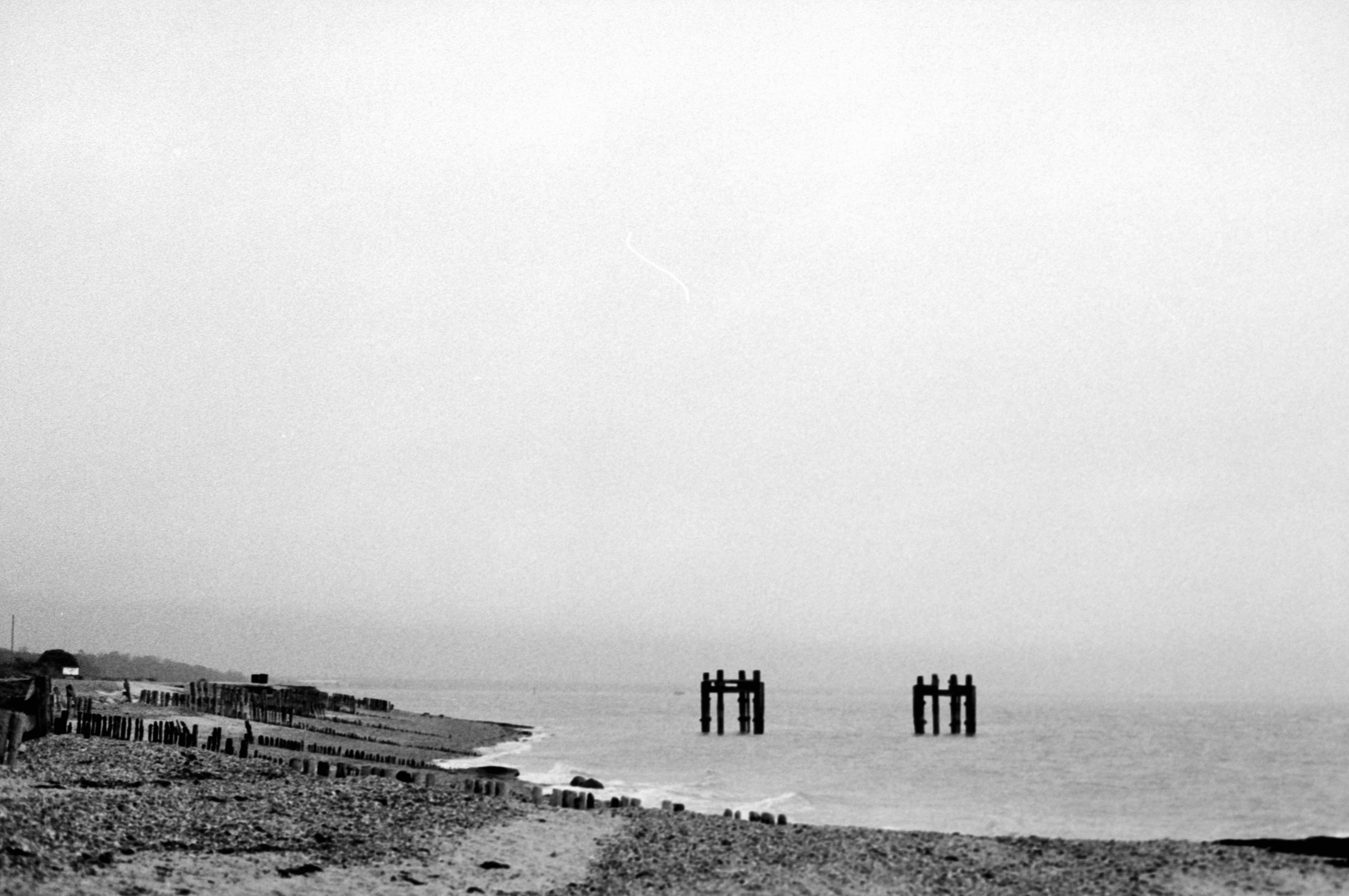 Photo by anniespratt