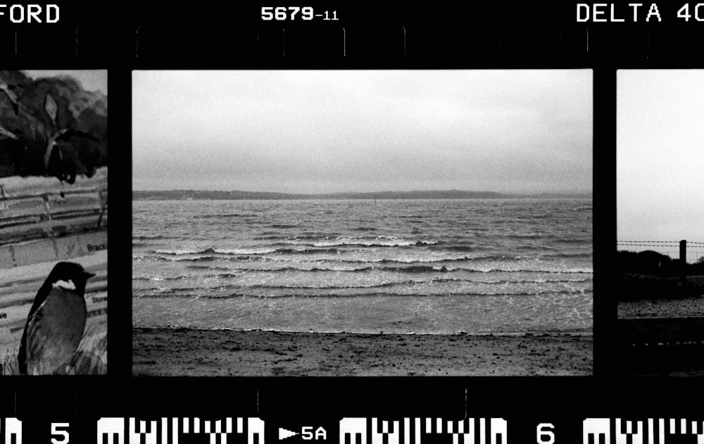 a black and white photo of the ocean