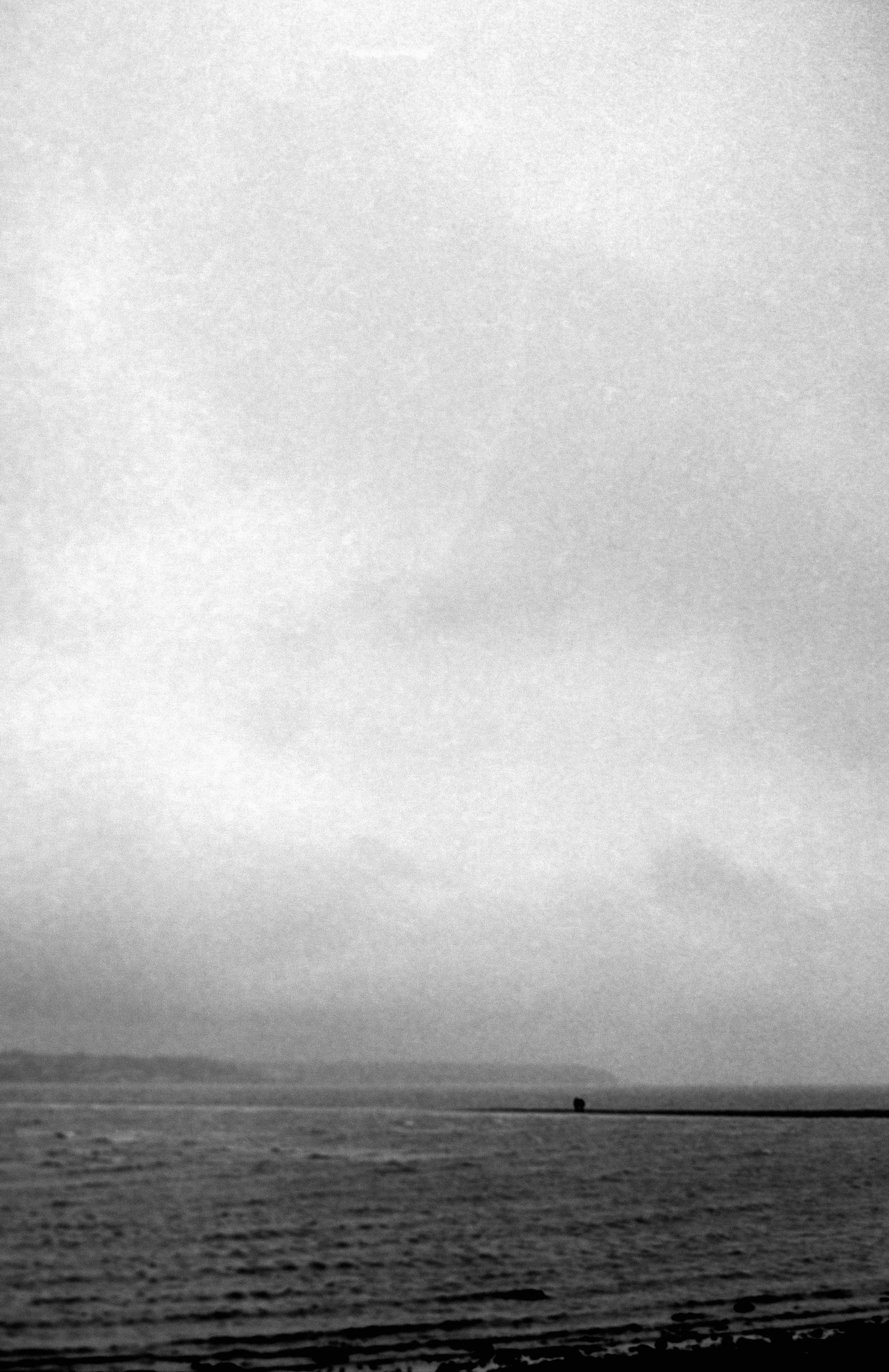 Photo by anniespratt