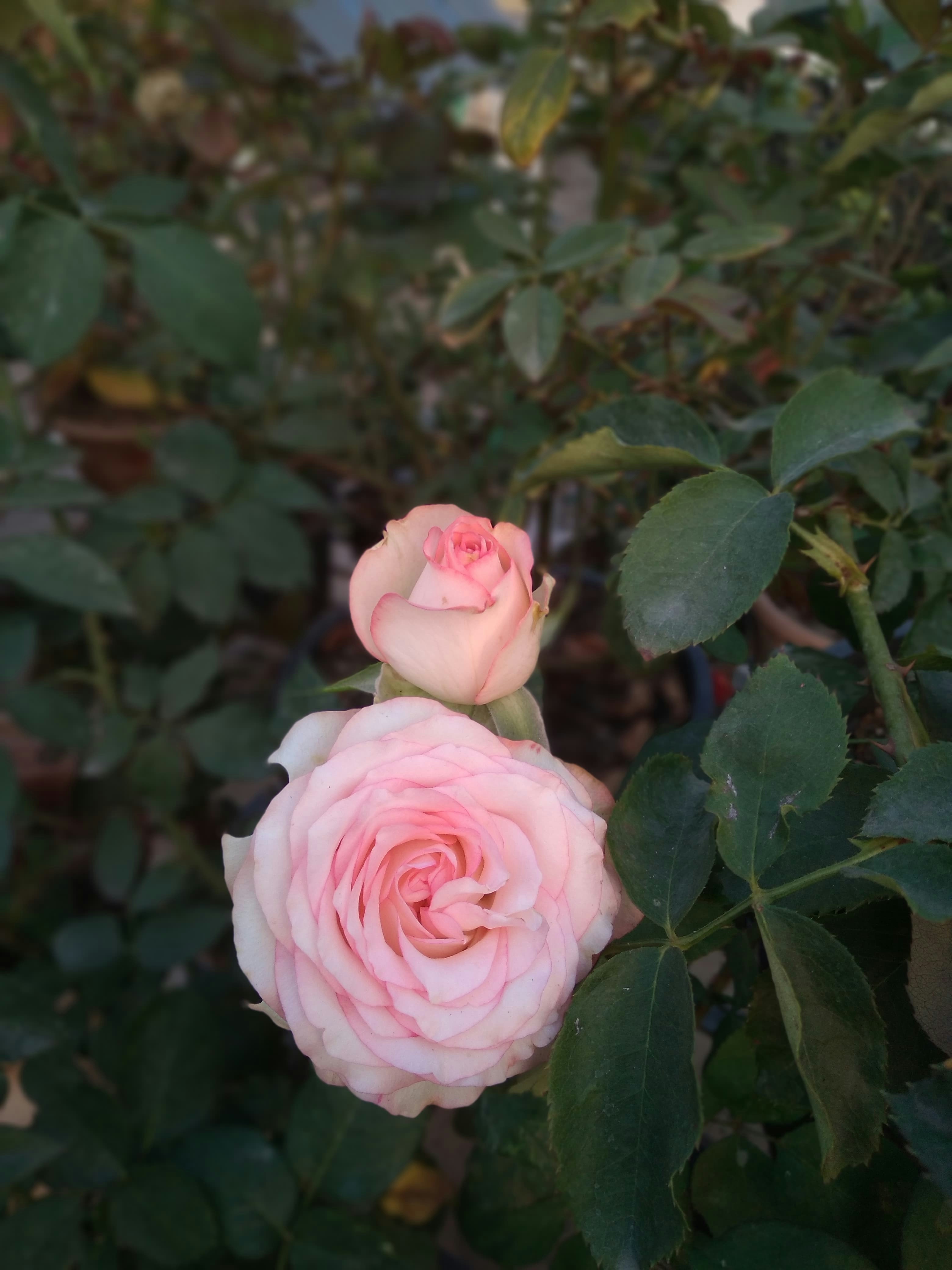 Photo by chinmaydhope18