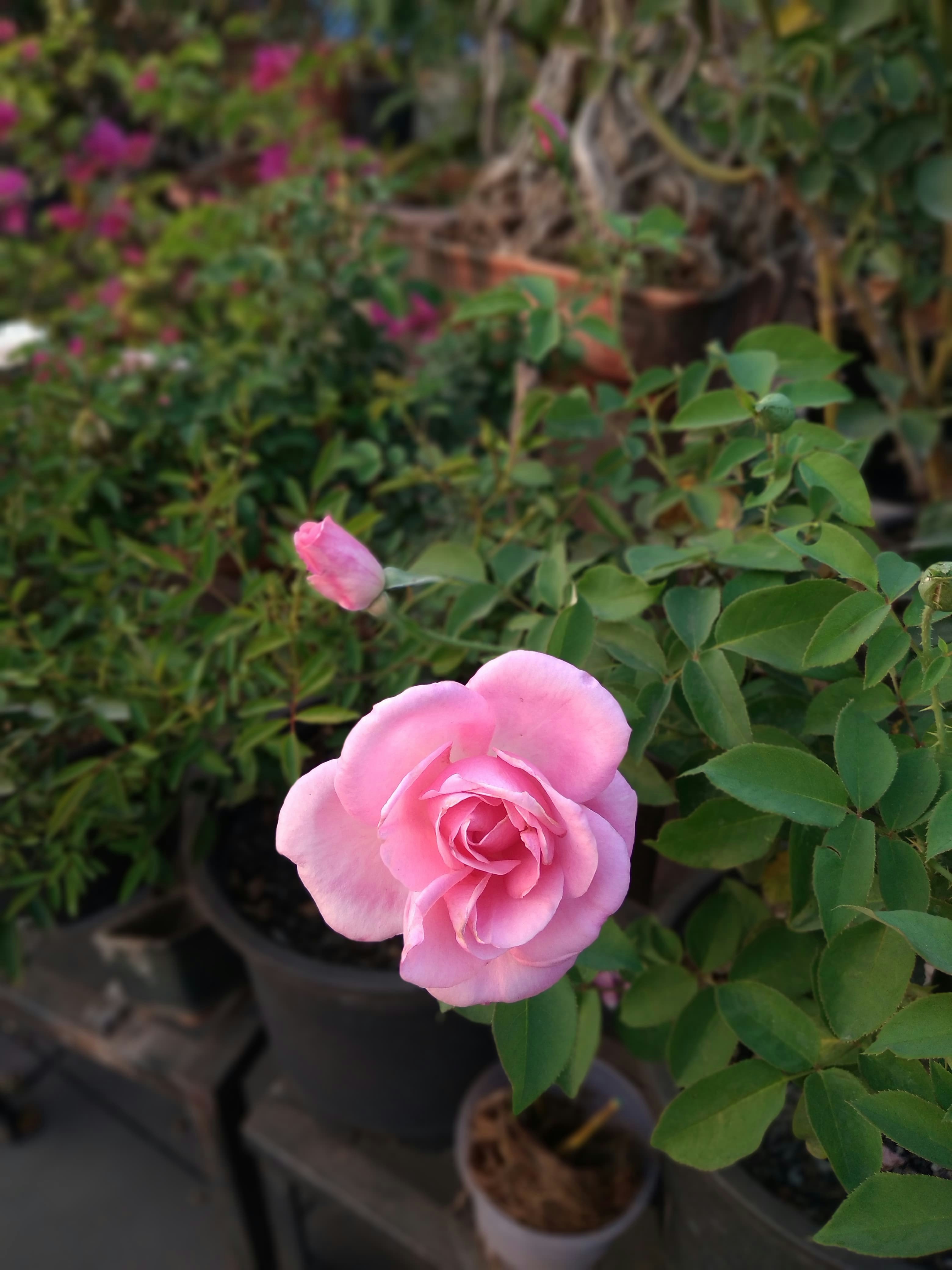 Photo by chinmaydhope18