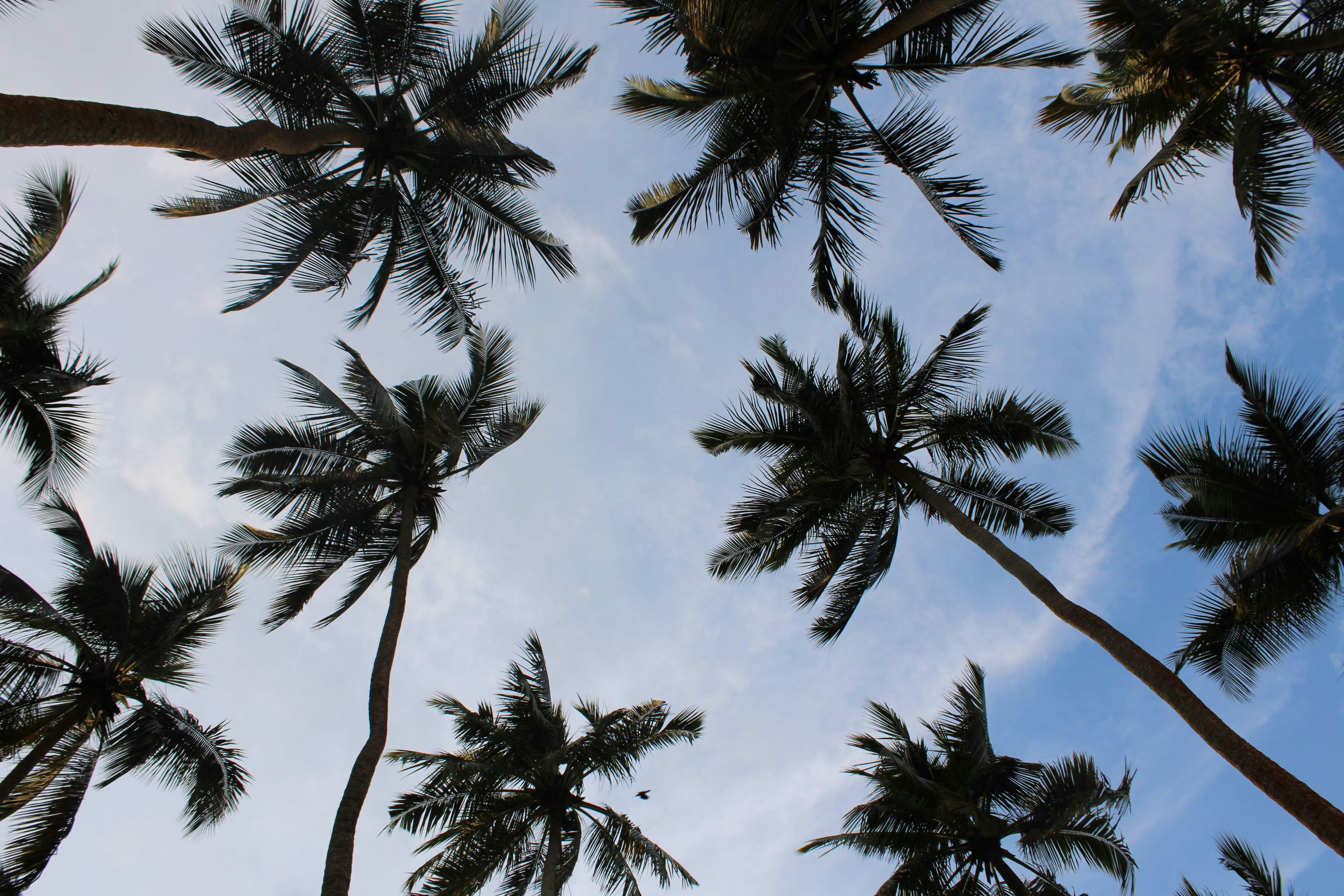 Photo by dilani_wicky