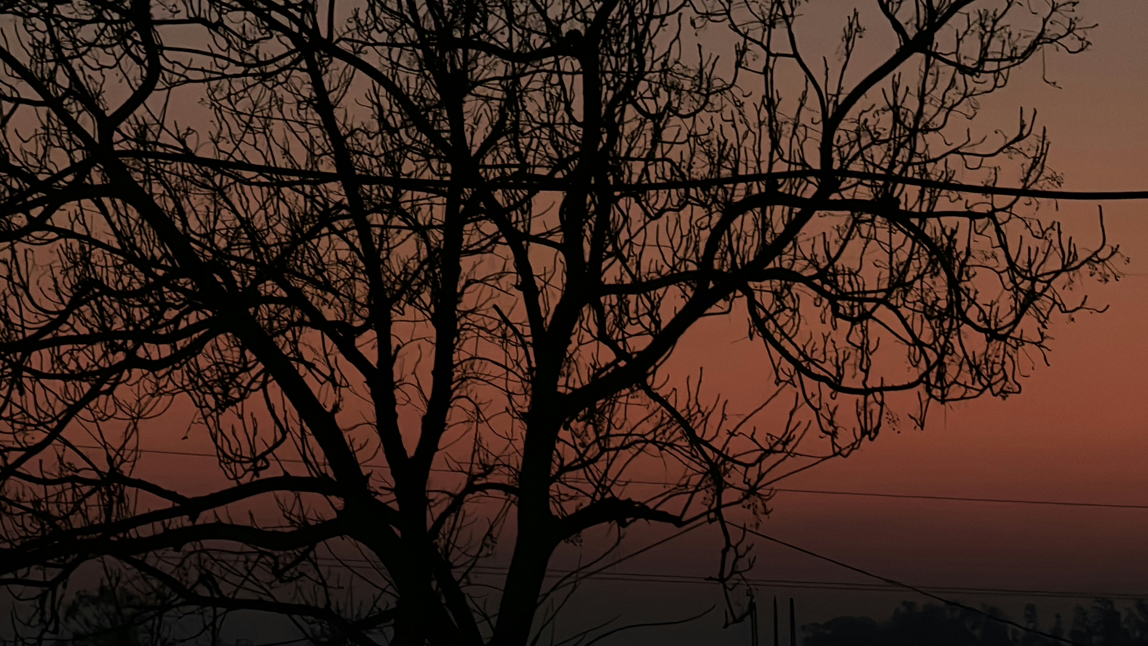 Photo by deepakbhakoo