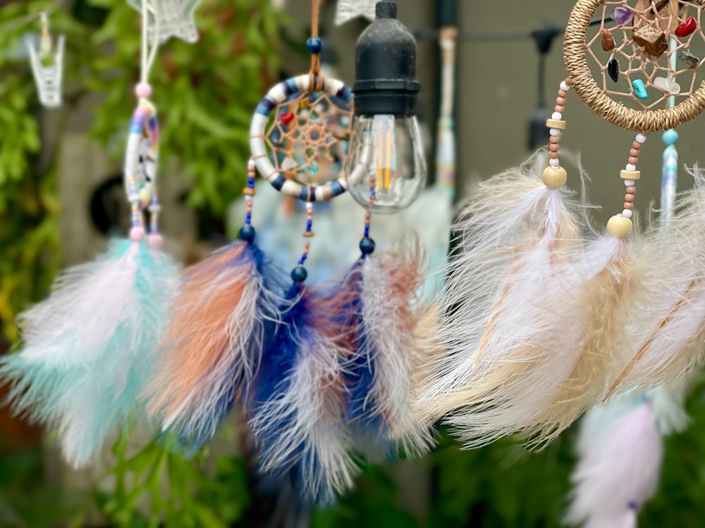 a group of dream catchers hanging from a tree