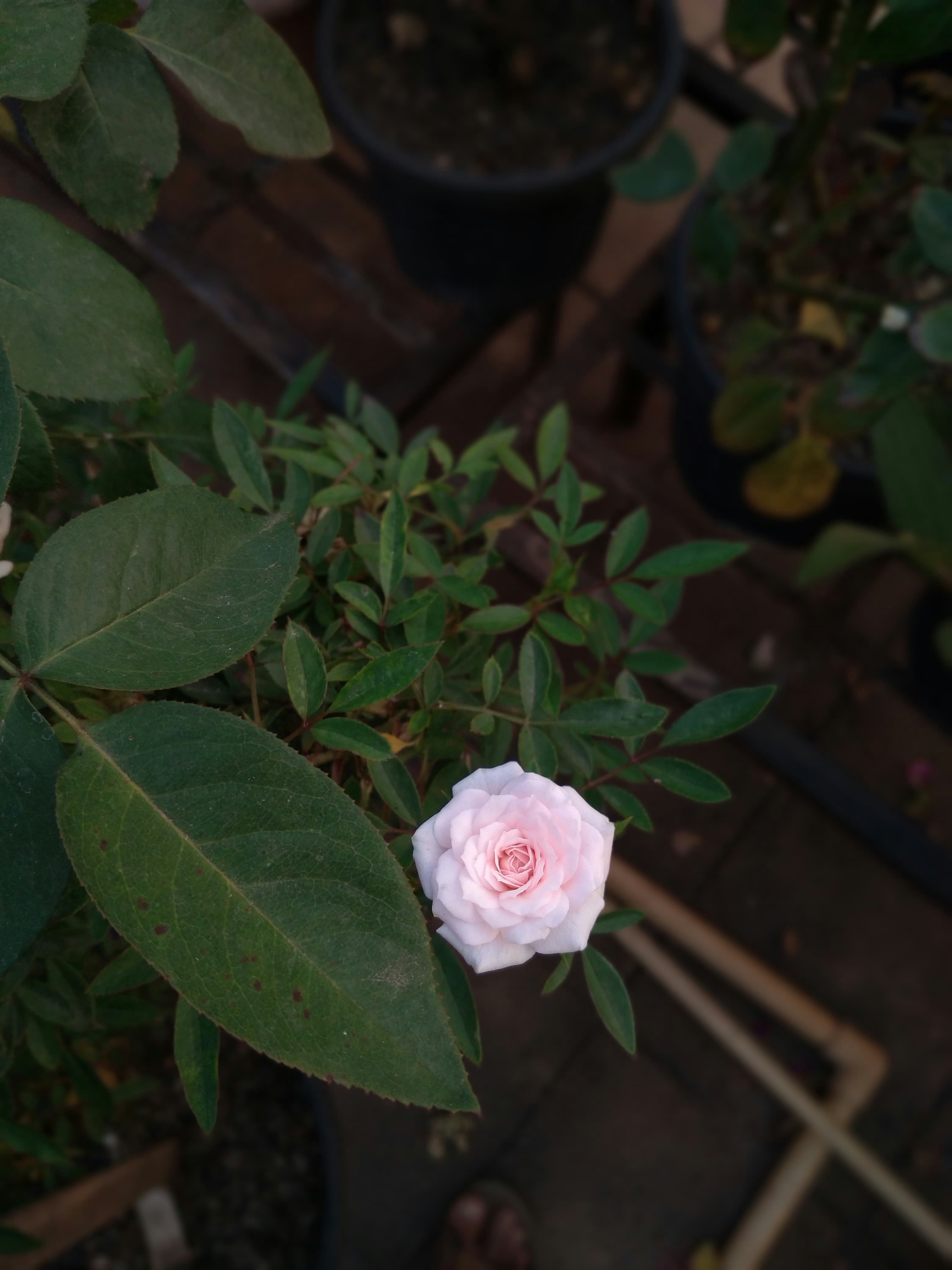 Photo by chinmaydhope18