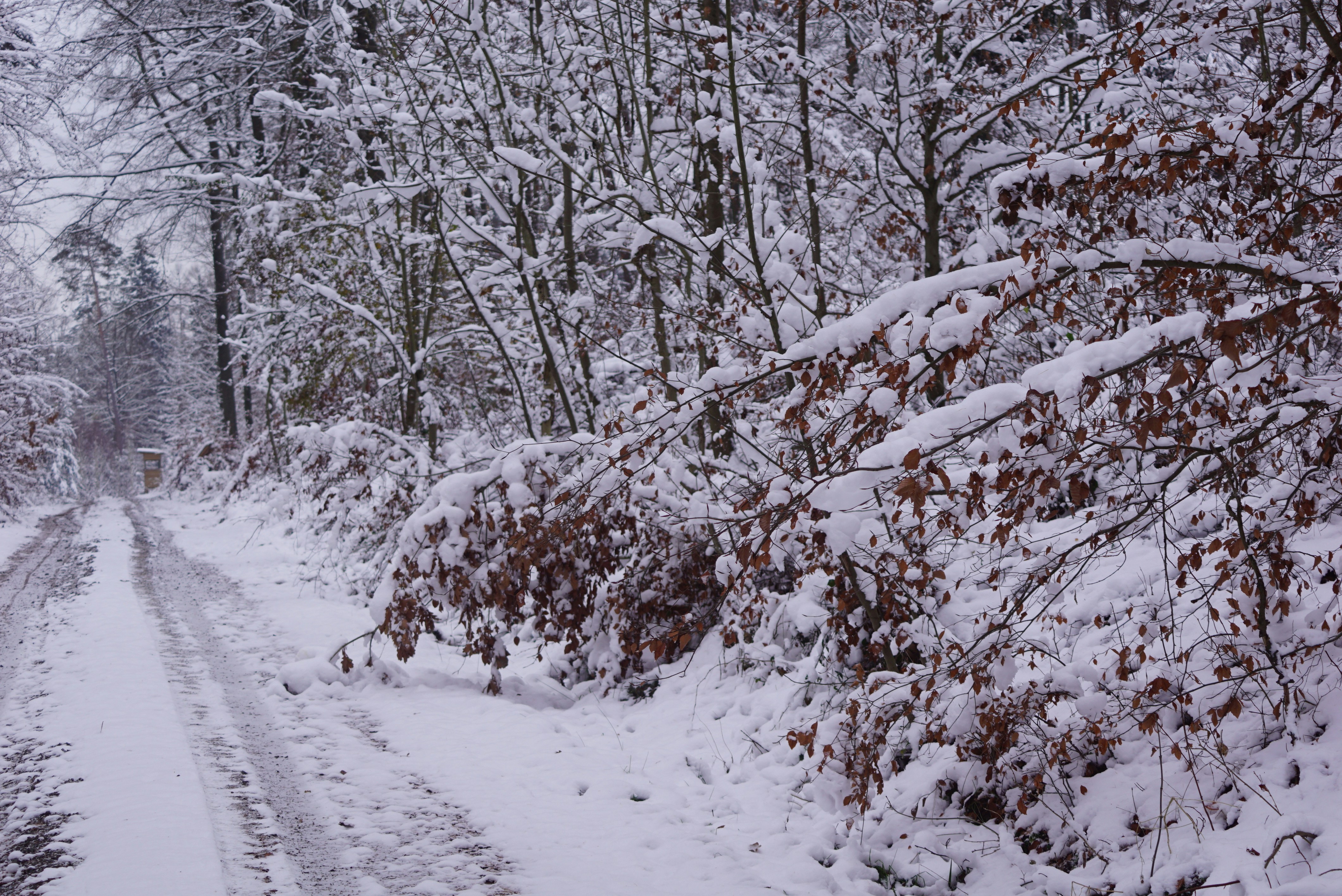 Photo by hansjuergenbraun