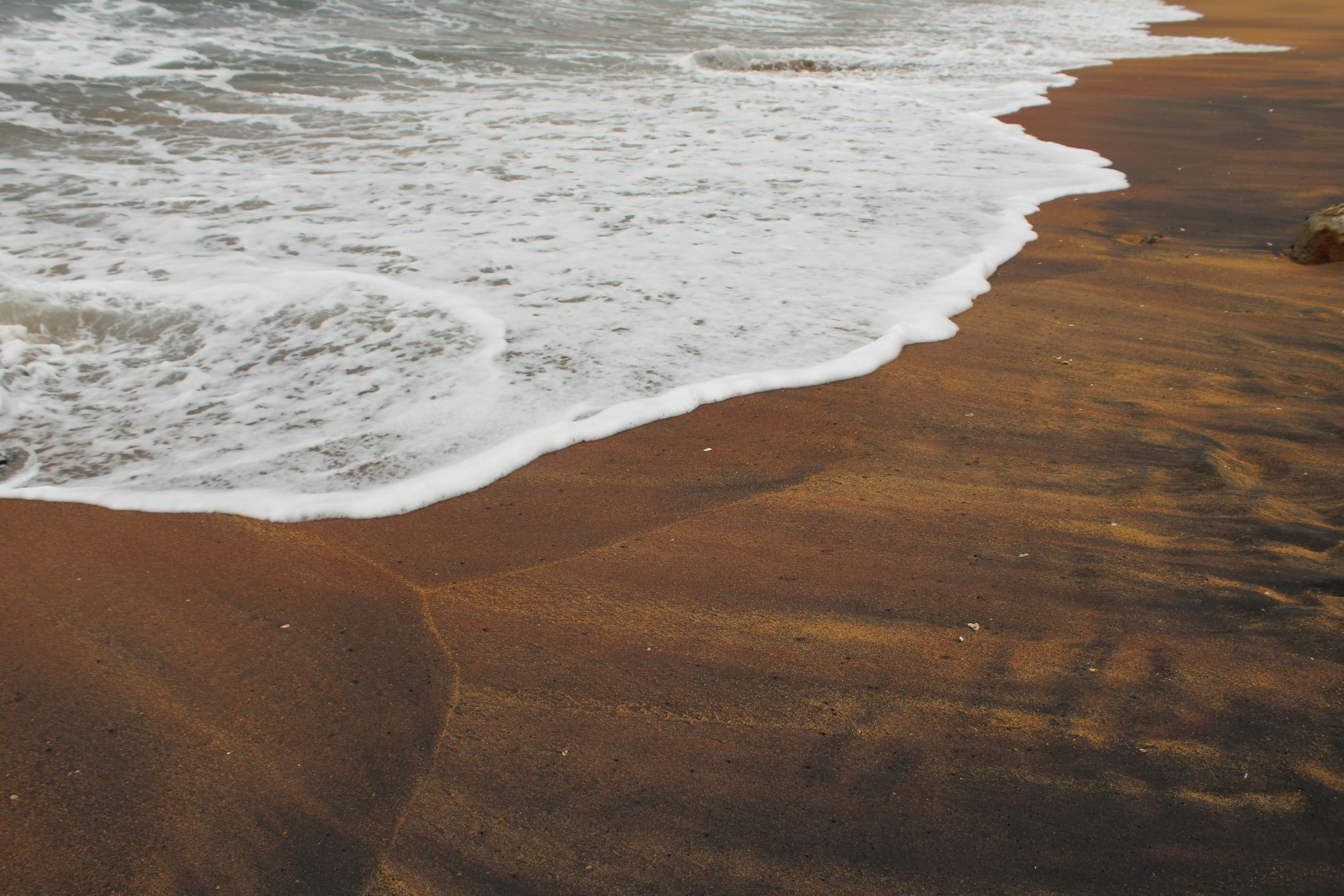 Photo by dilani_wicky