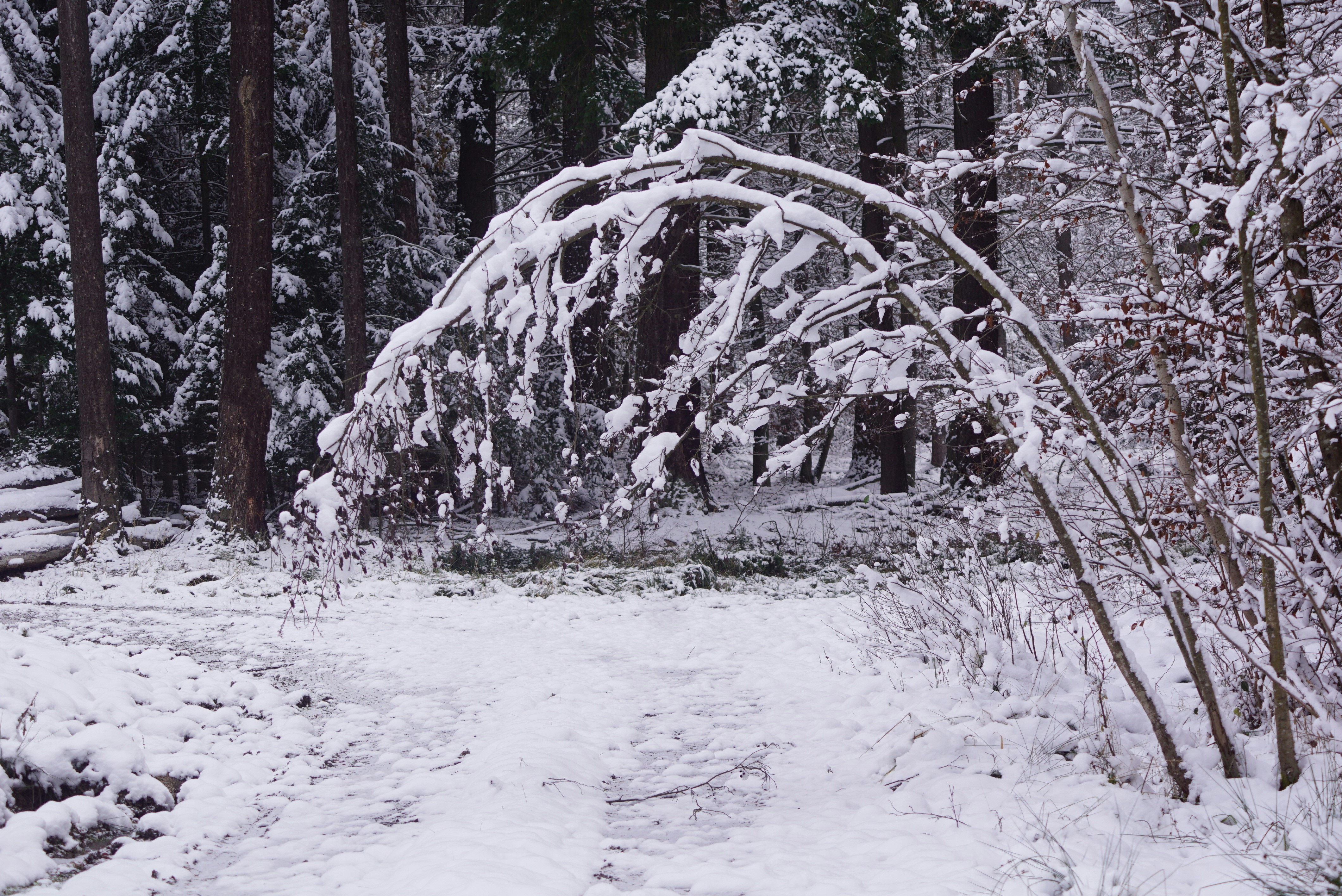 Photo by hansjuergenbraun