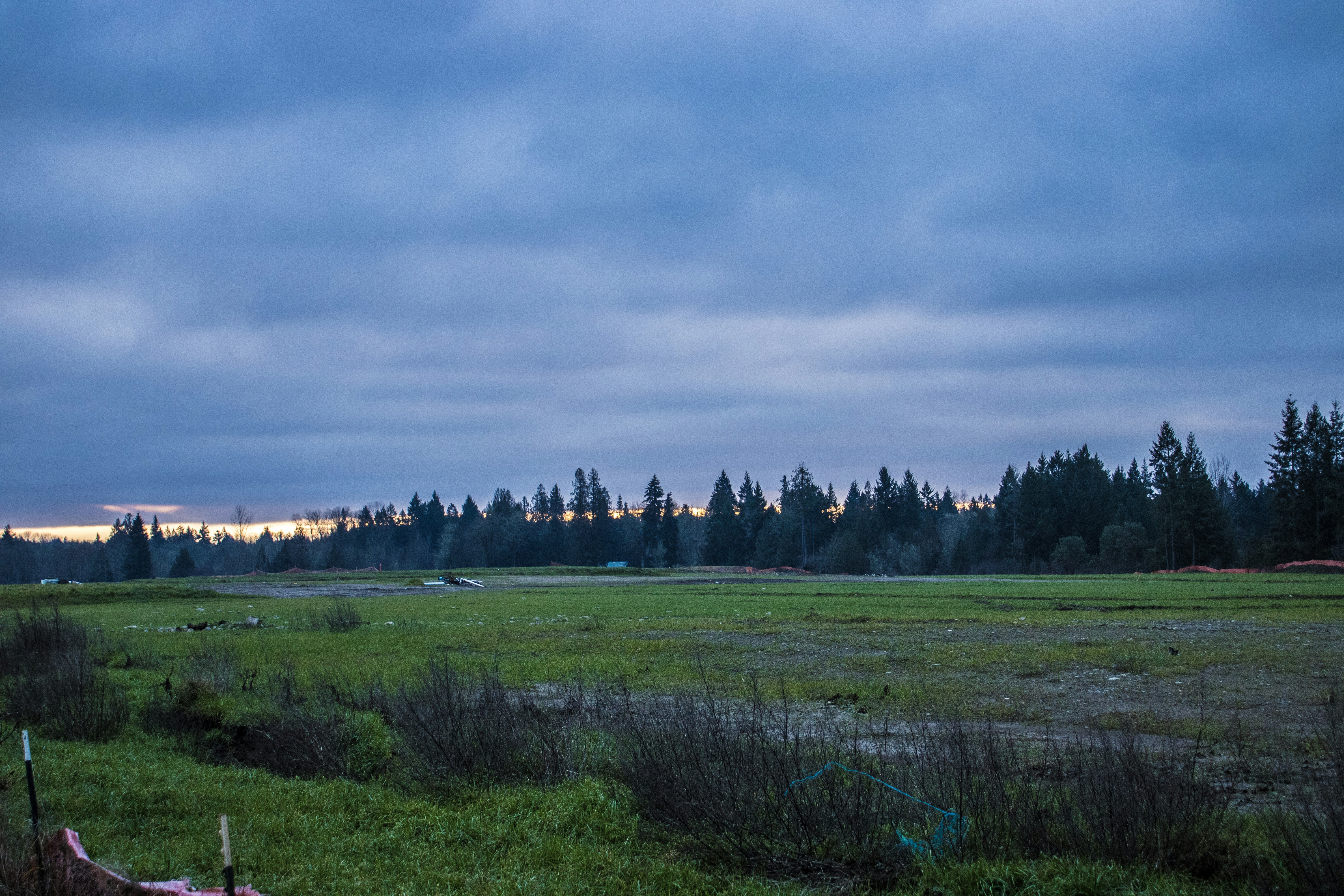 Photo by prphotography262