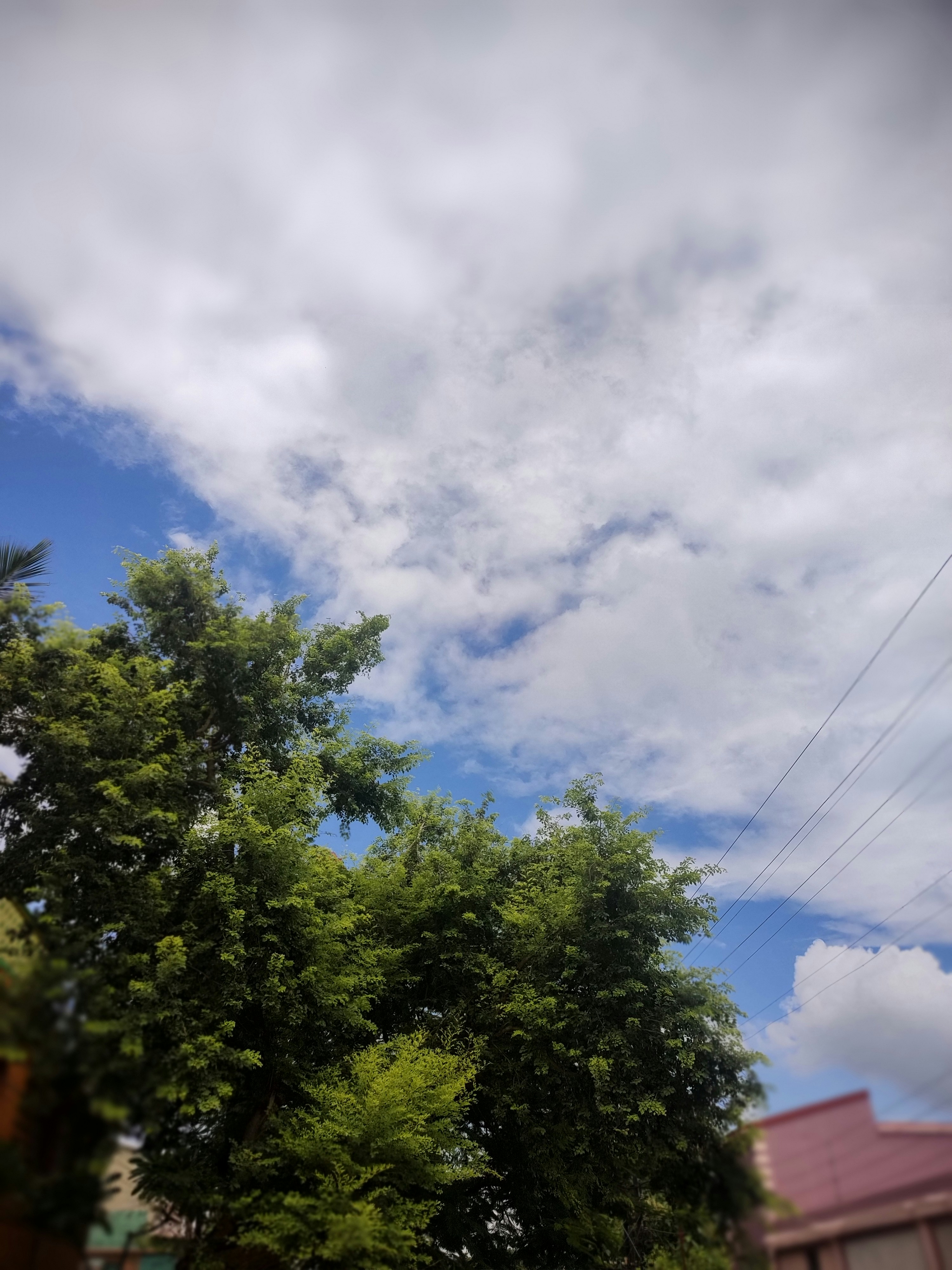 Photo by jash156