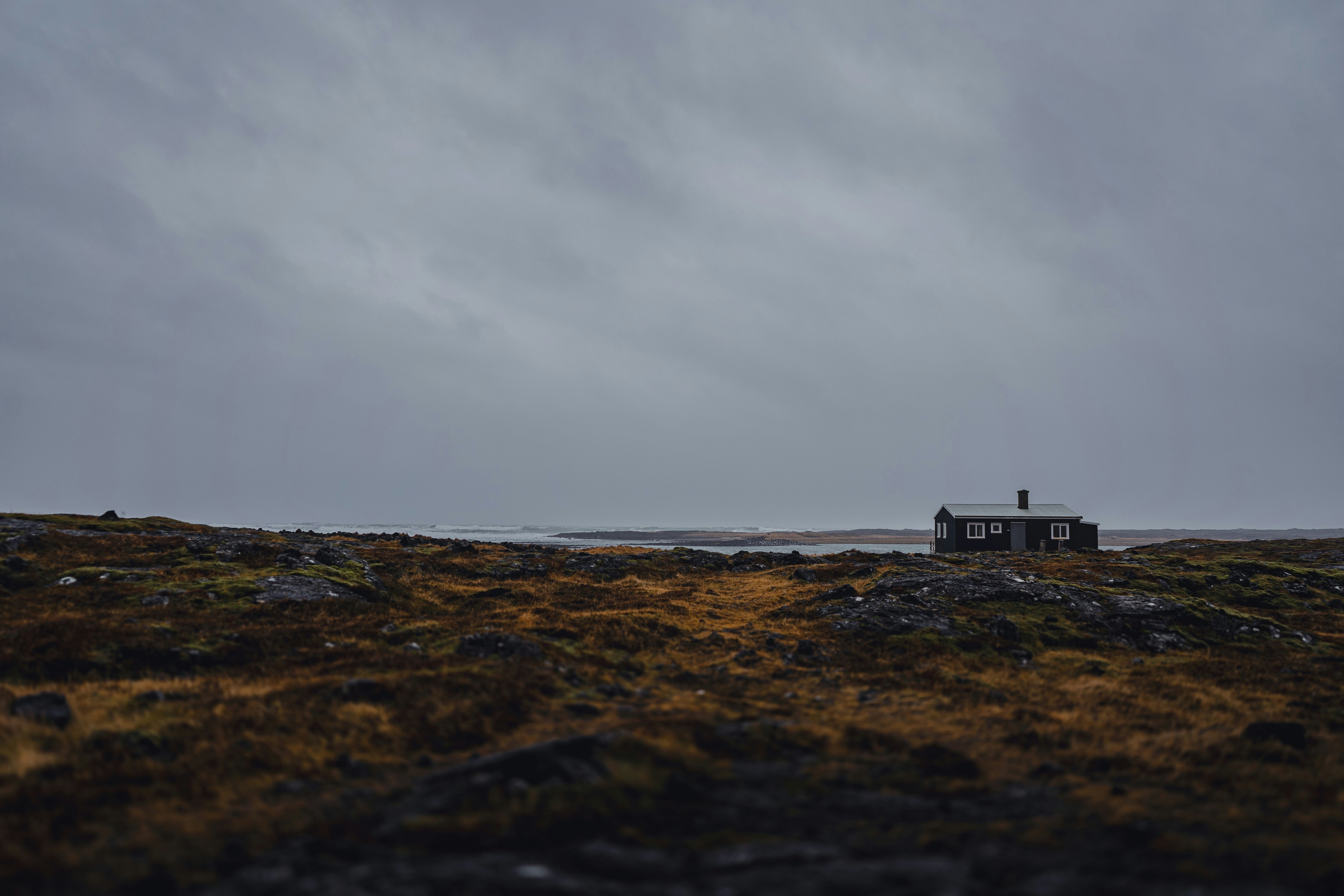 Photo by normanbrown