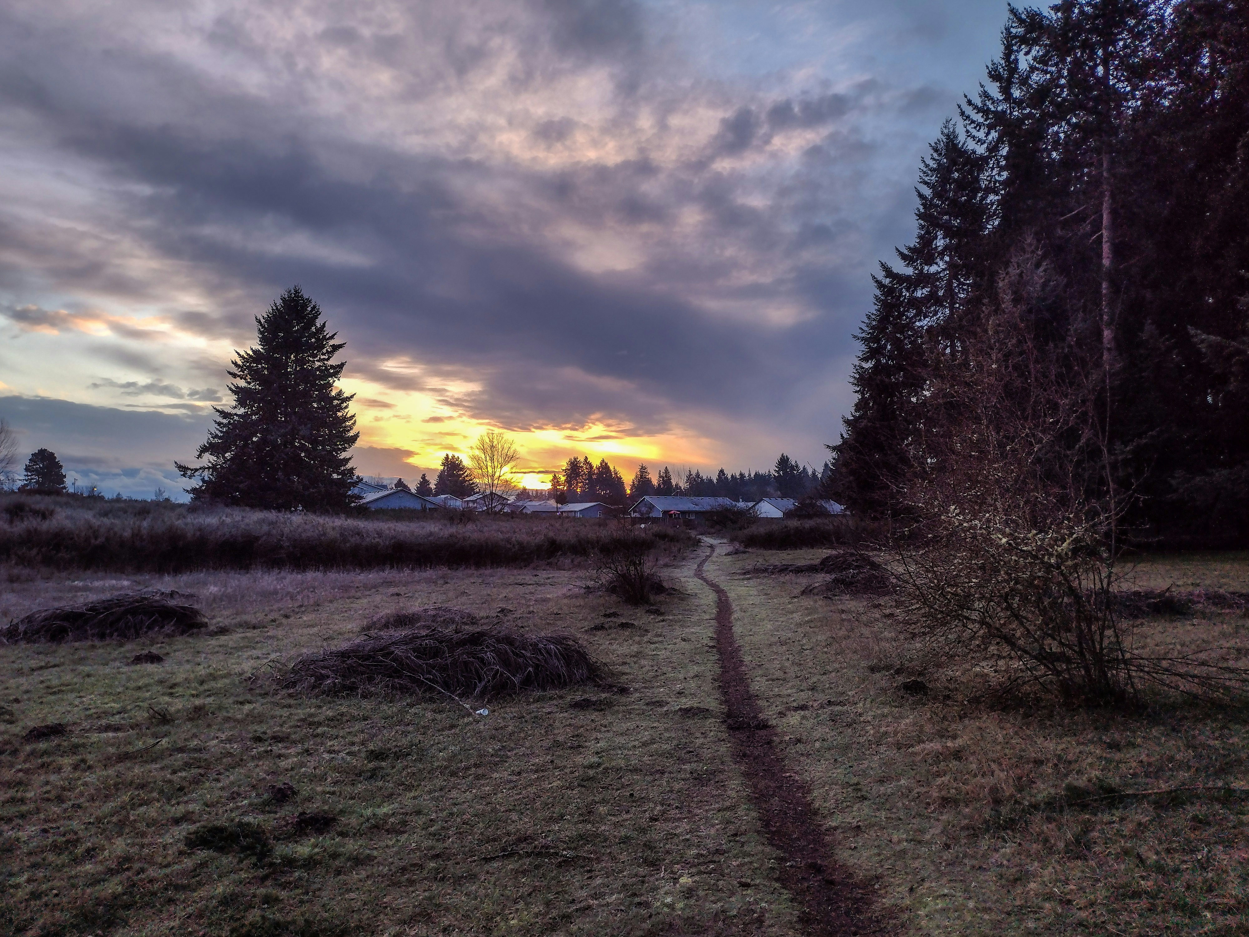 Photo by prphotography262