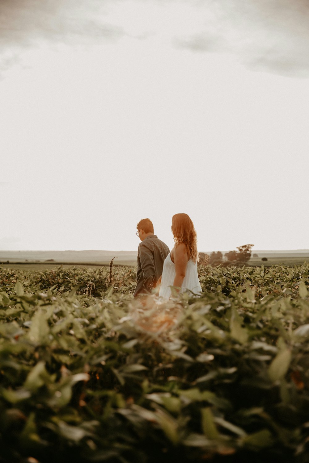 une mariée et le marié debout dans un champ