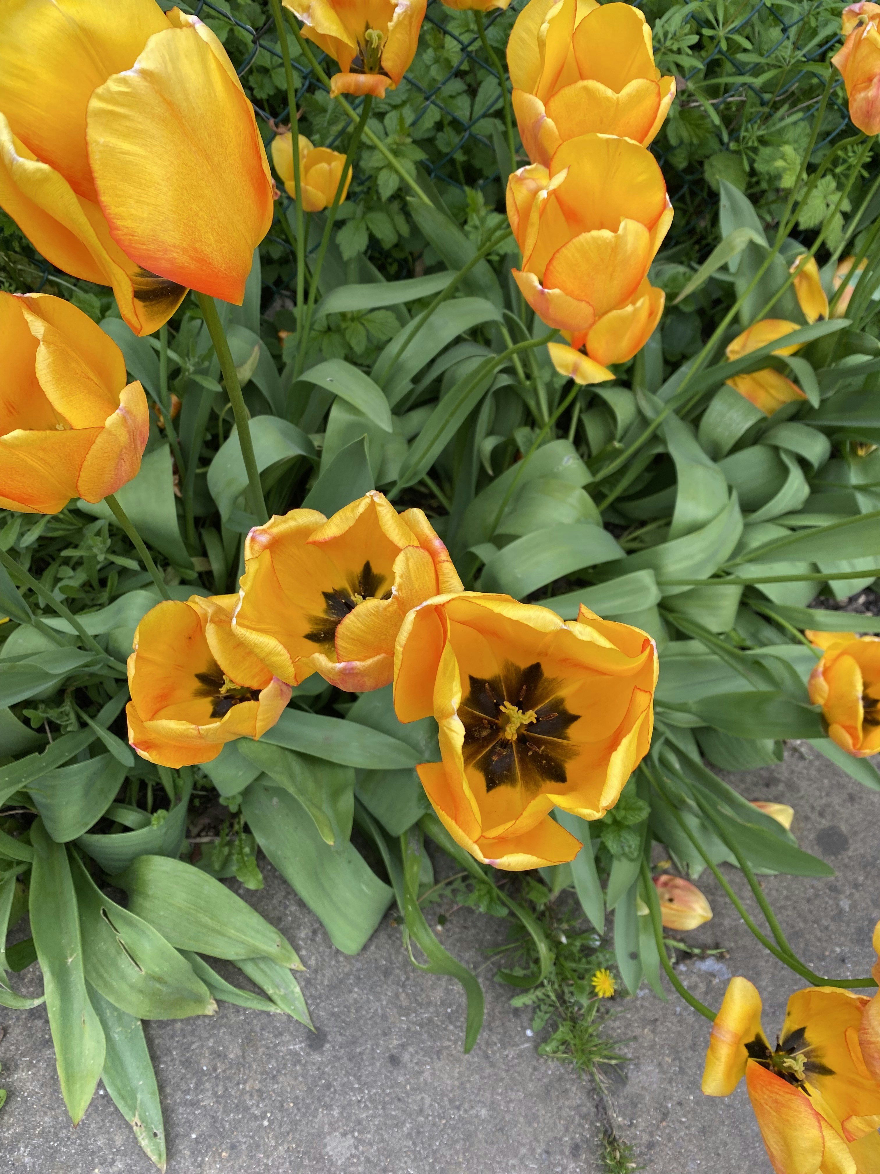 Photo by calmtherapy