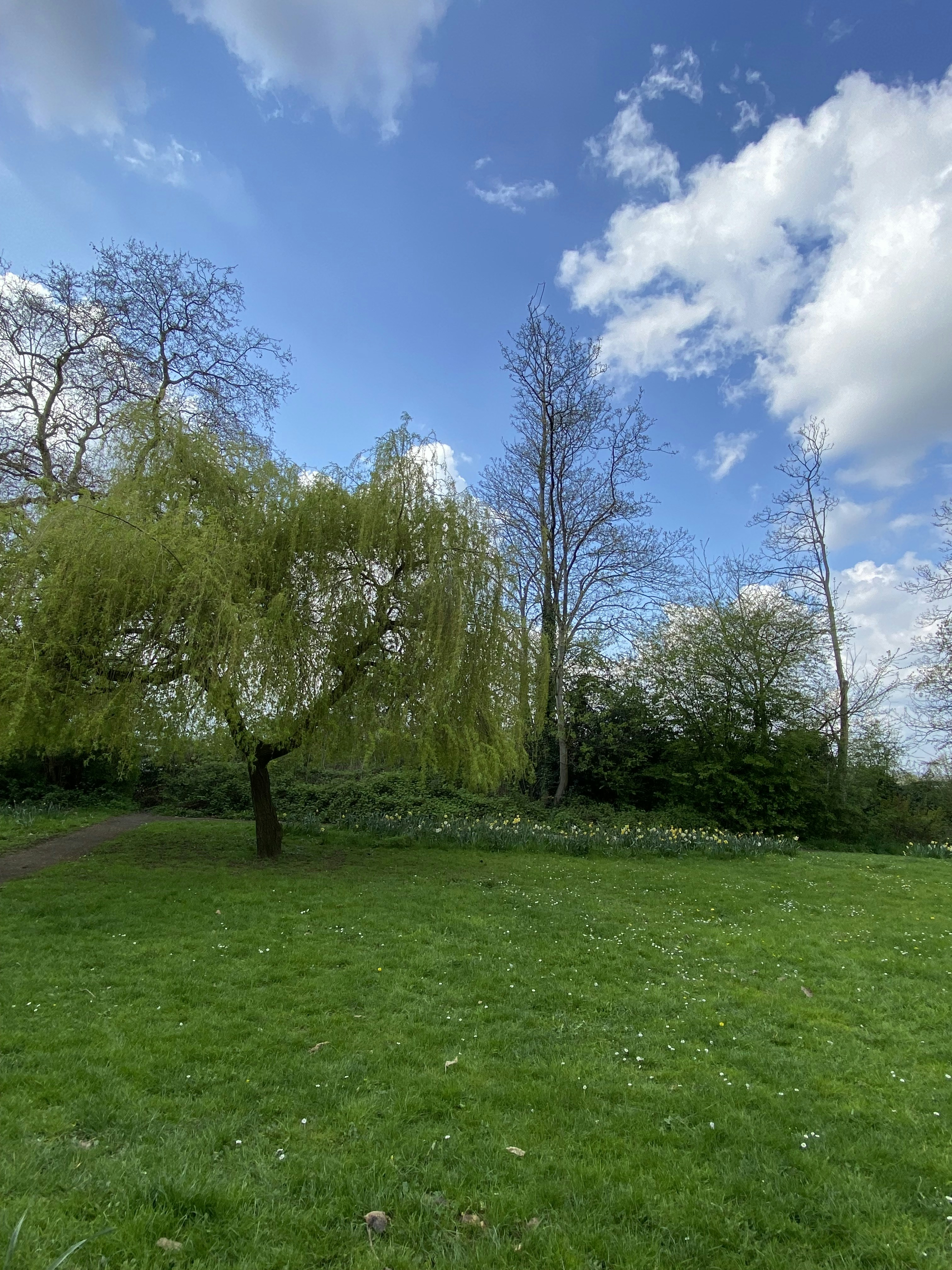 Photo by calmtherapy