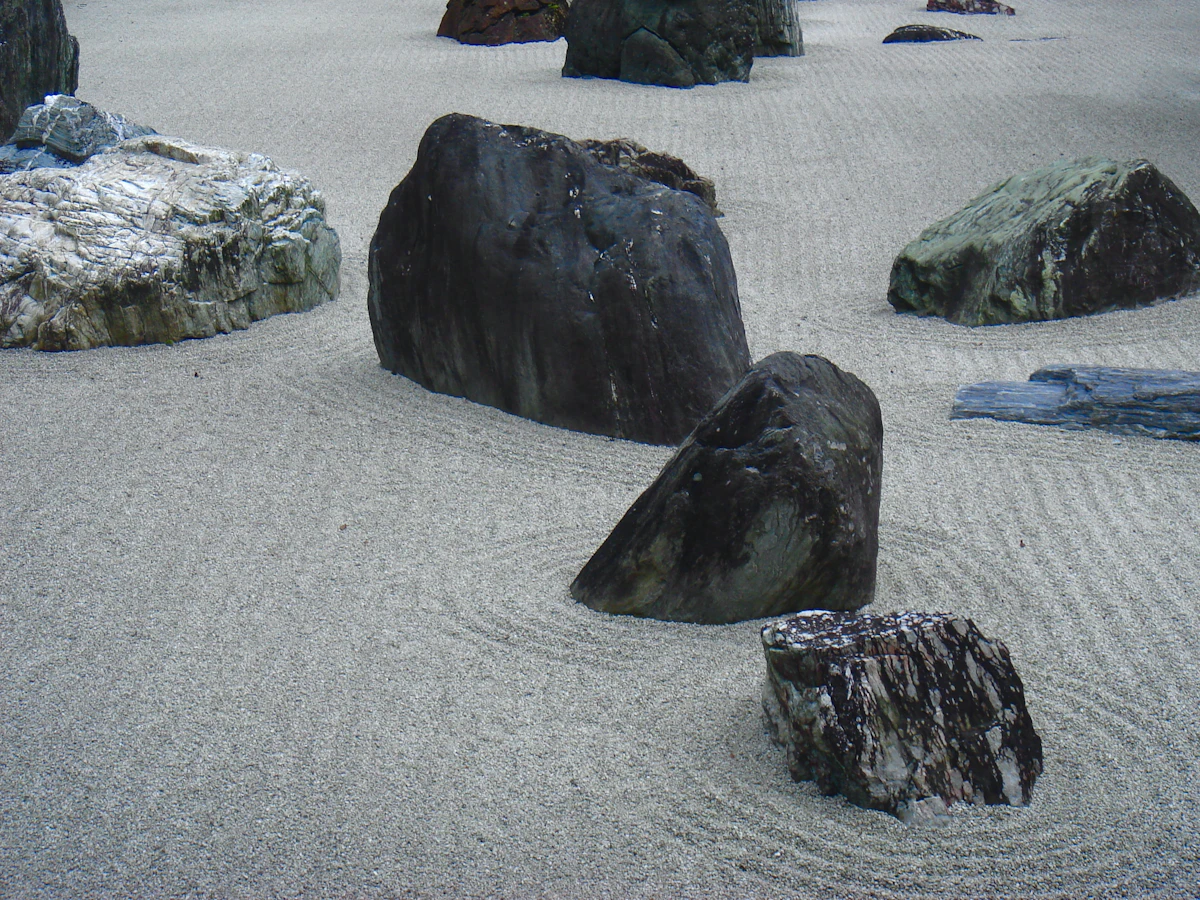 夏の畳の間