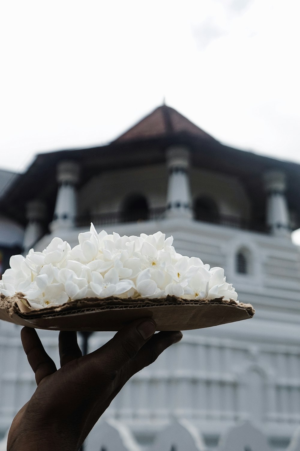 a person holding a plate with white flowers on it