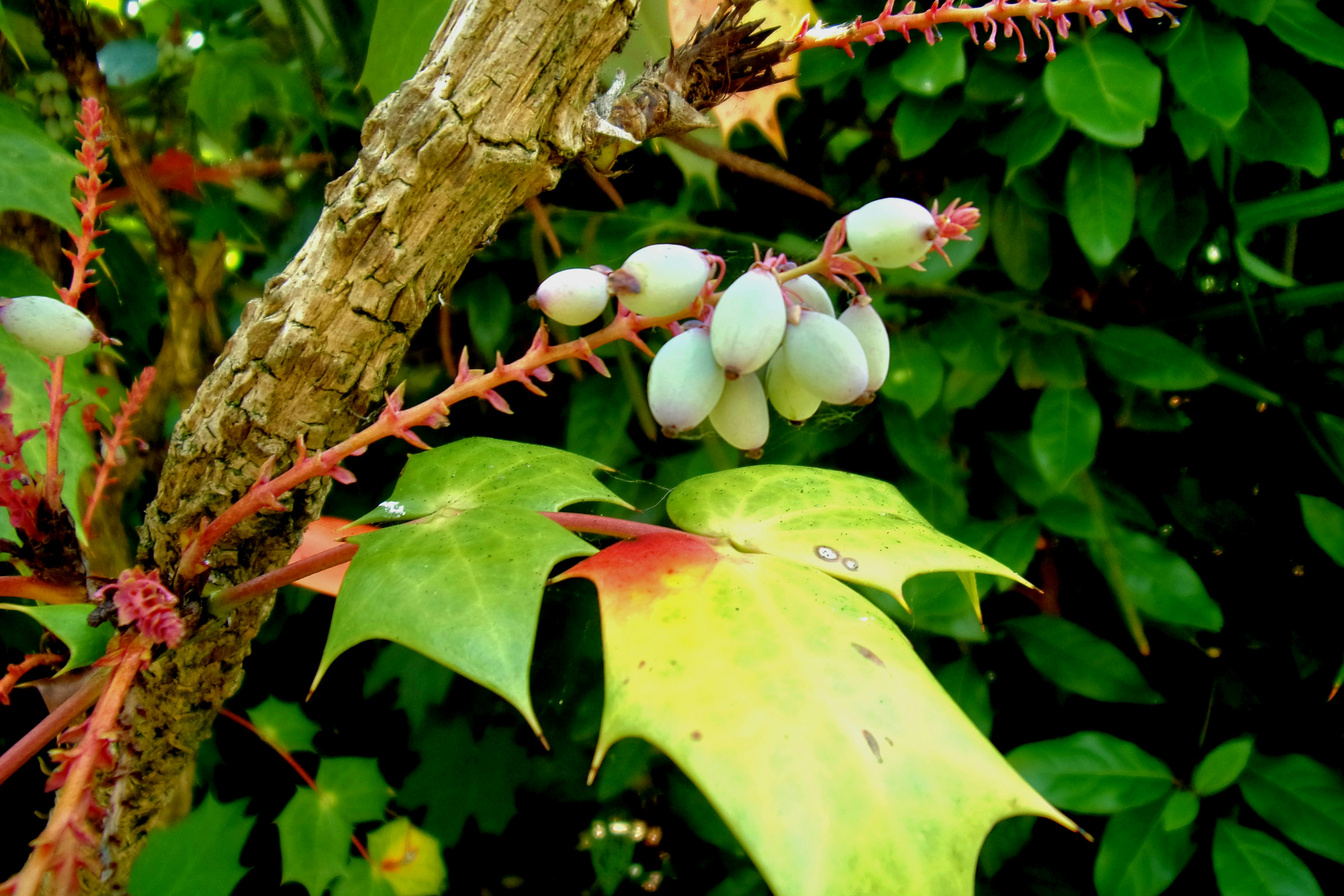 Photo by novo_aspectu