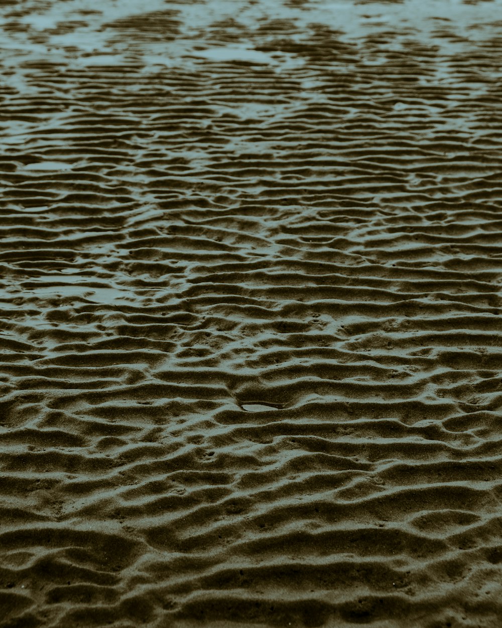 a sandy beach covered in lots of sand