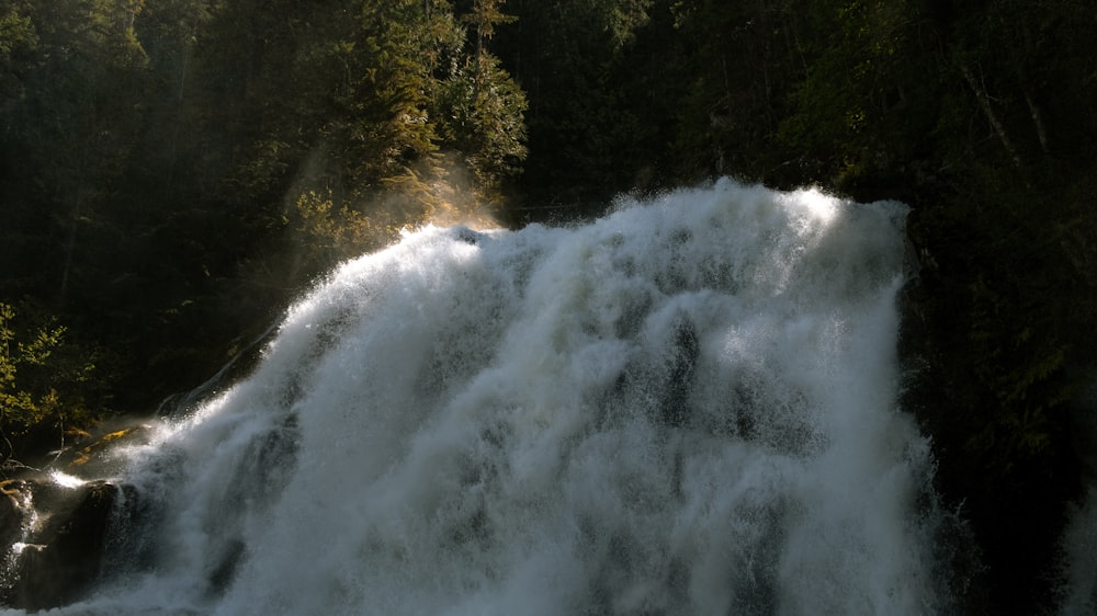 a large waterfall in the middle of a forest