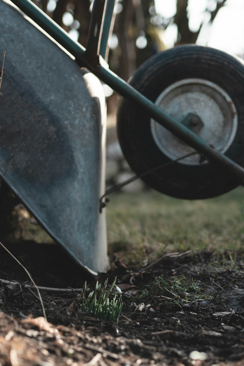 a wheelbarrow leaning against the side of a tree