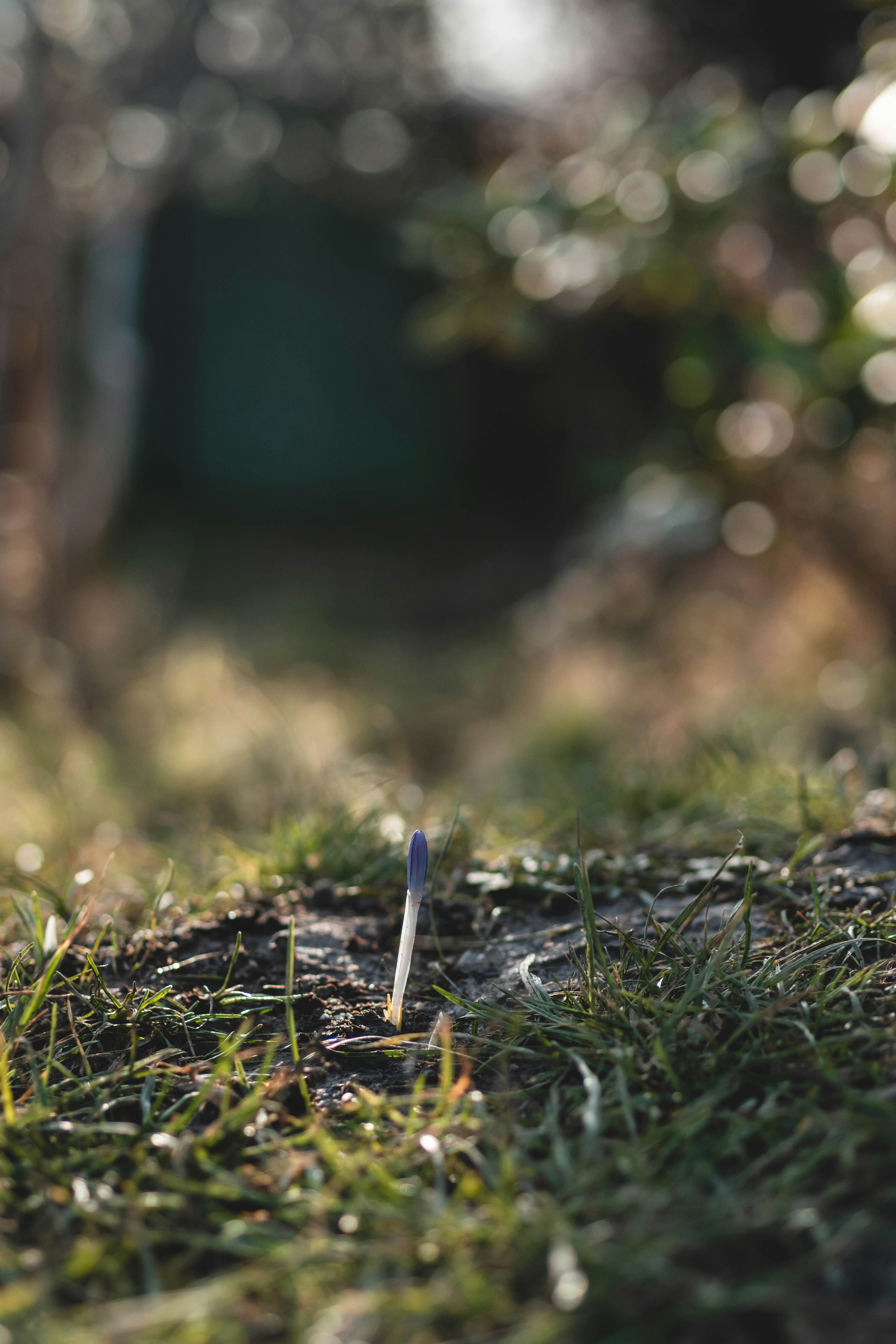 Photo by eileen_kummer