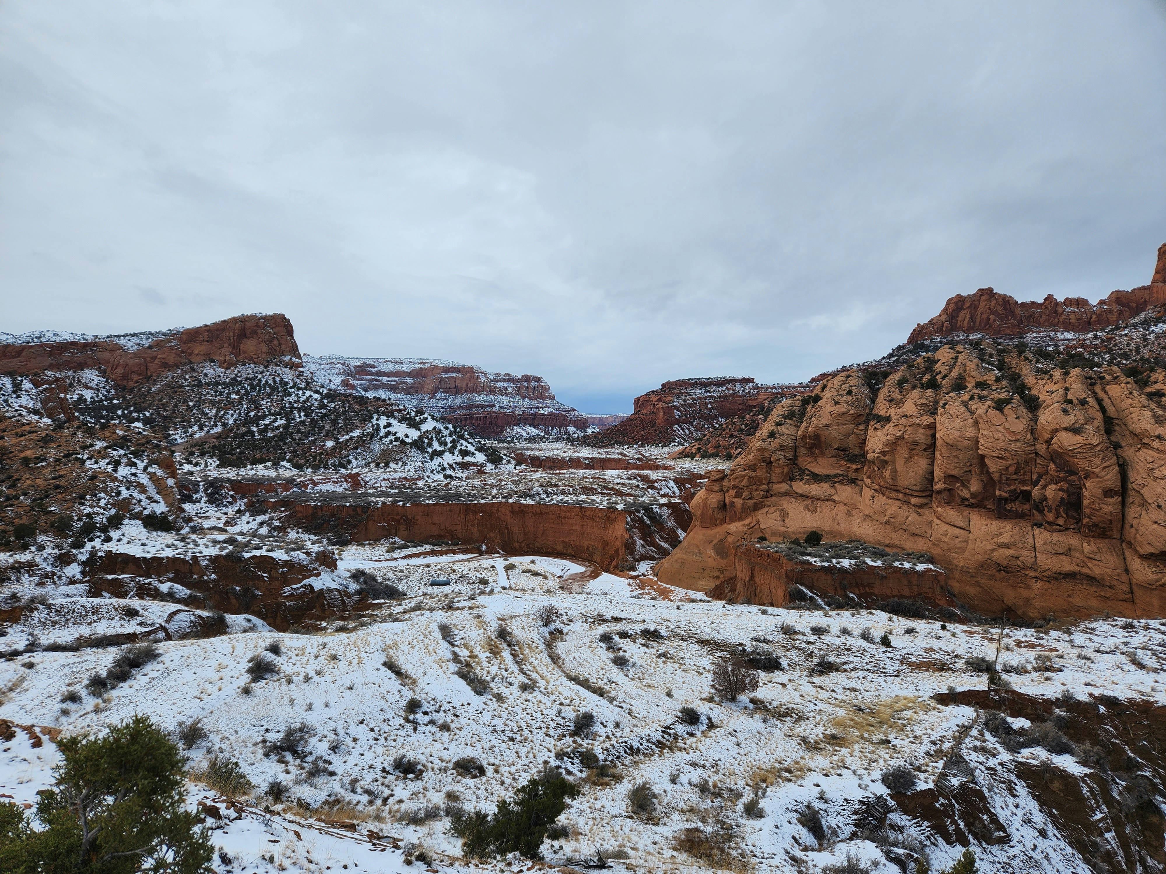 Photo by zoshuacolah