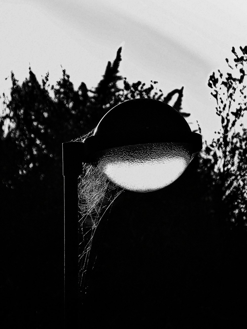 a black and white photo of a street light