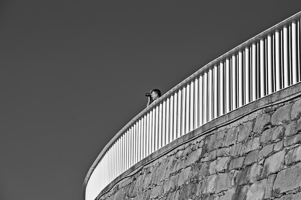 a bird sitting on top of a stone wall