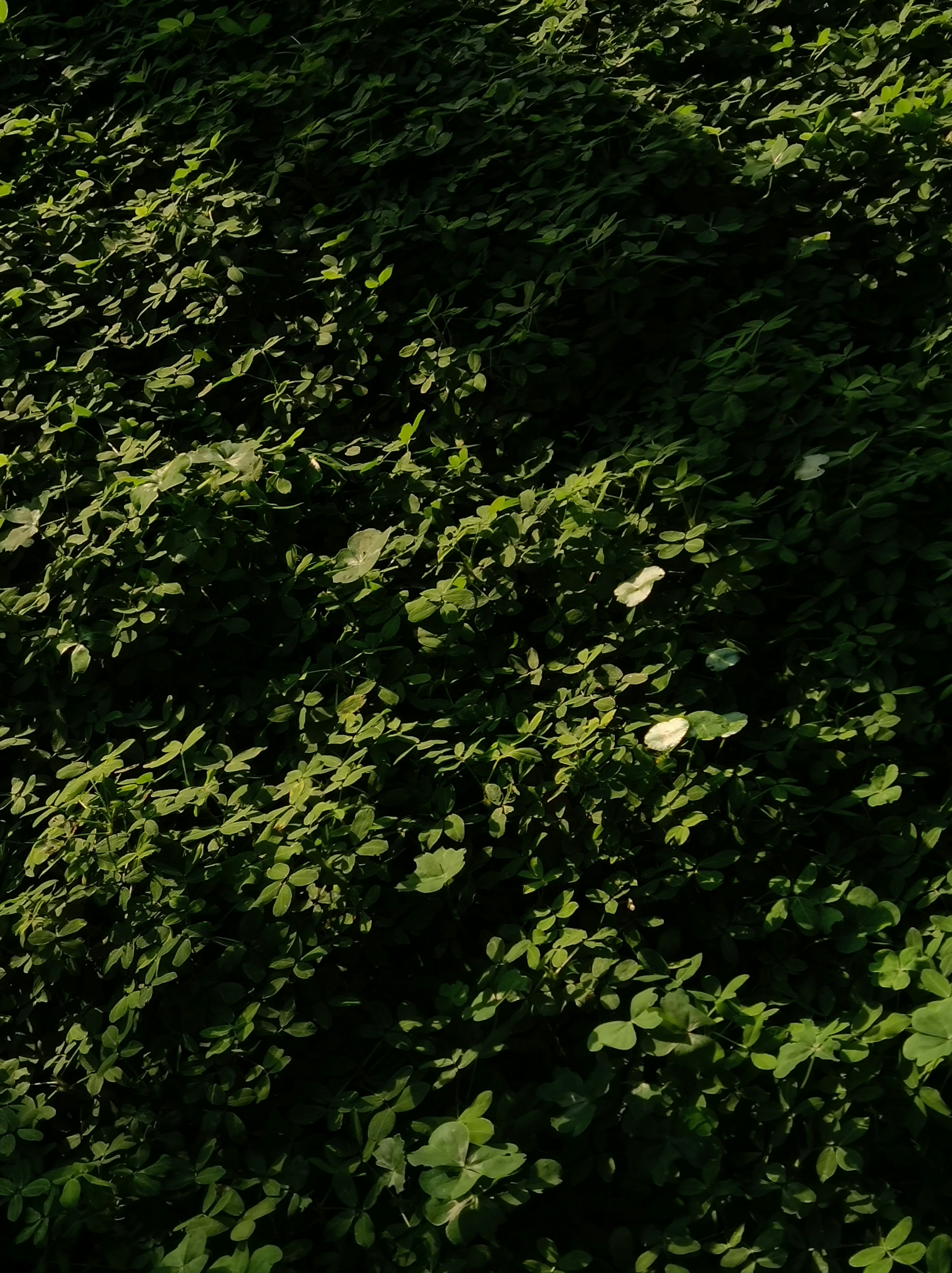 Photo by onetimechopstick