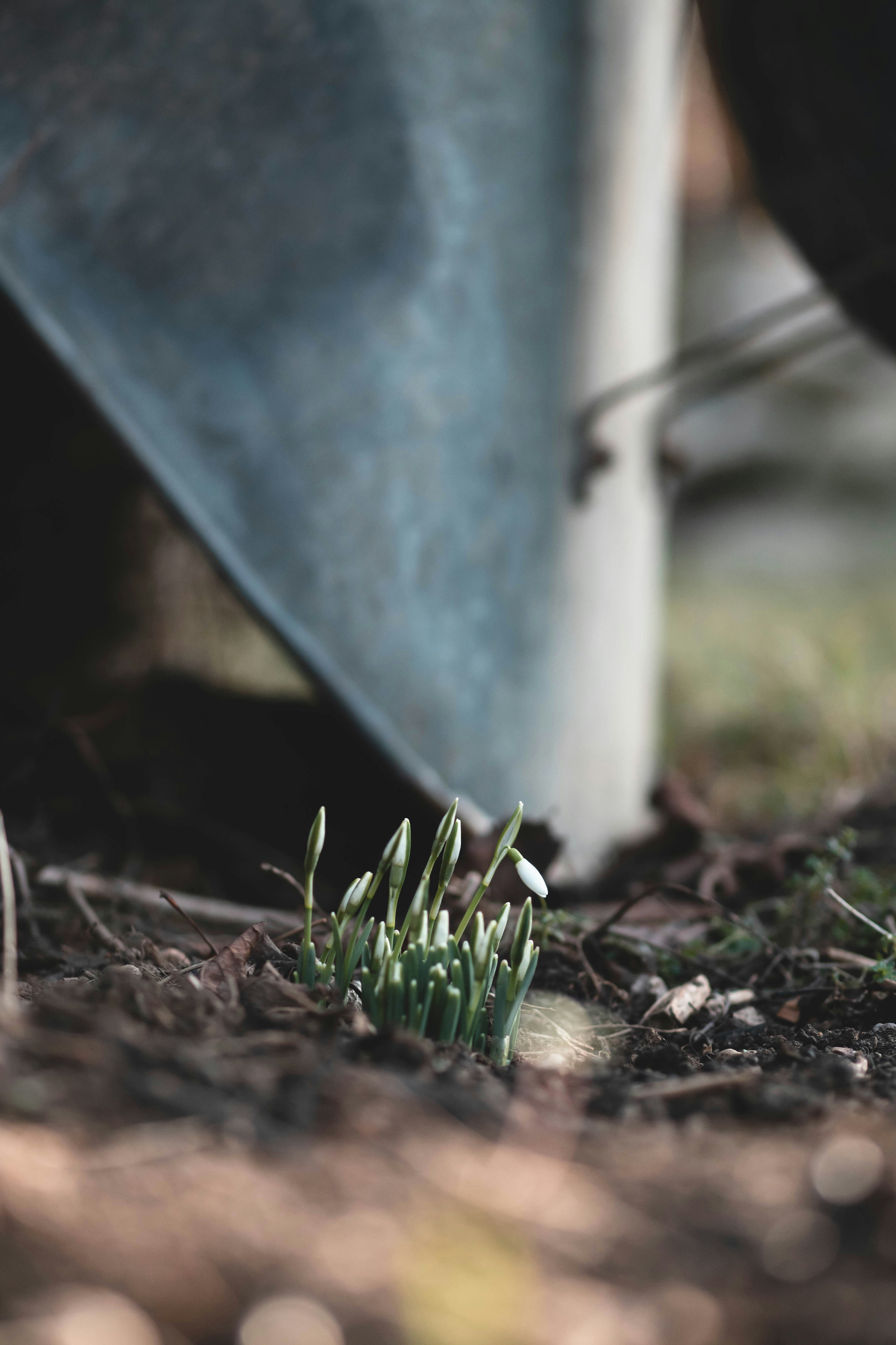 Photo by eileen_kummer