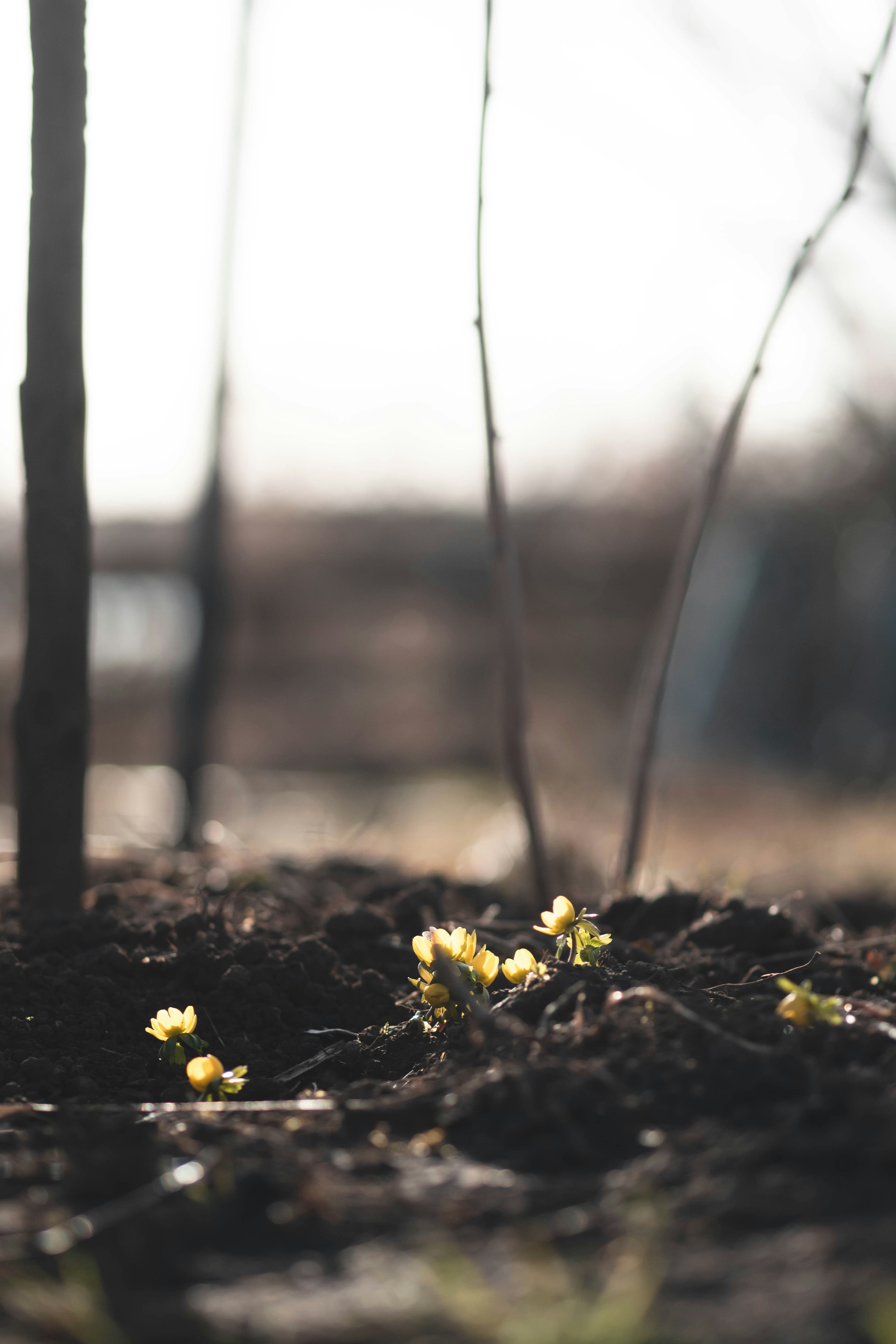 Photo by eileen_kummer