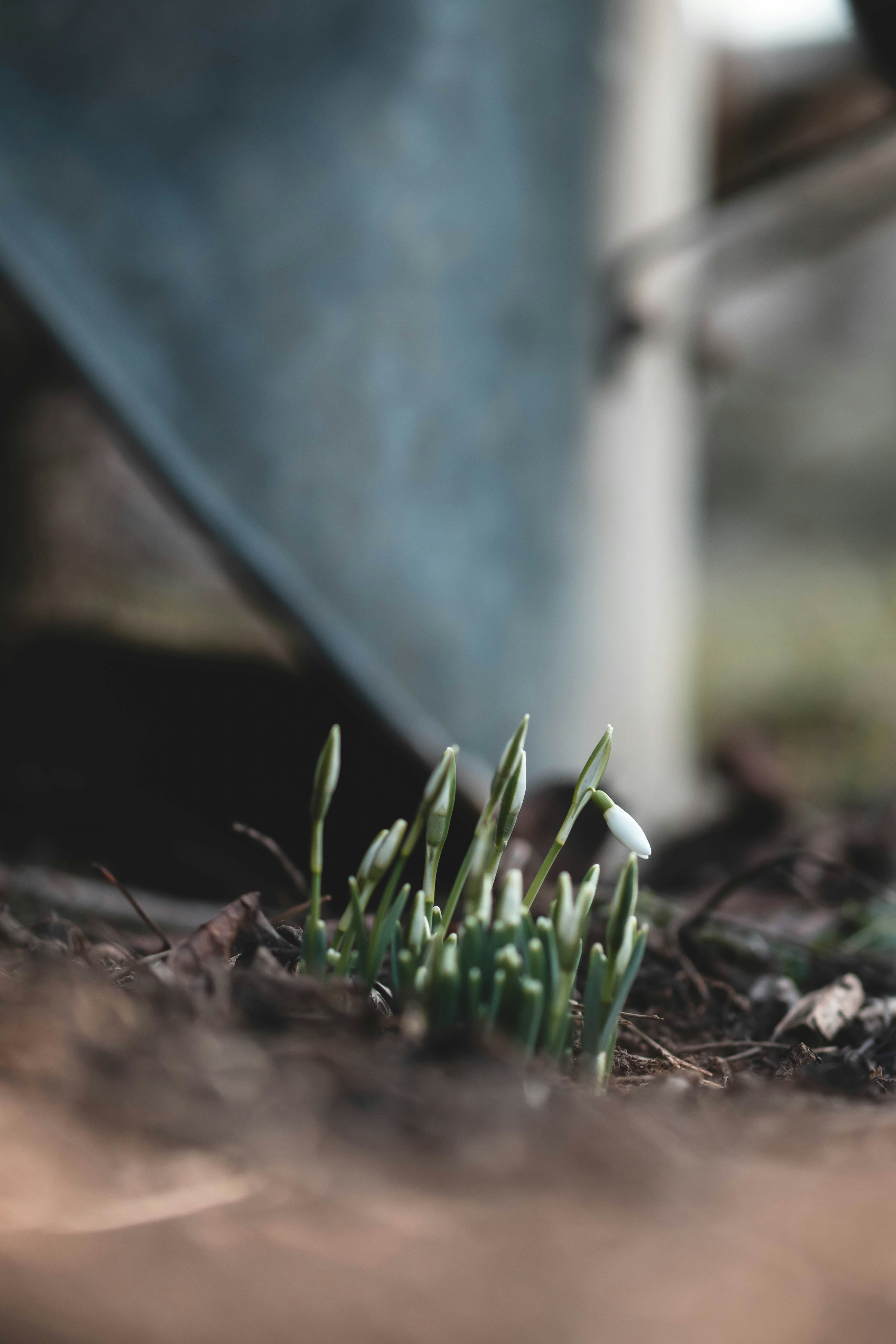 Photo by eileen_kummer