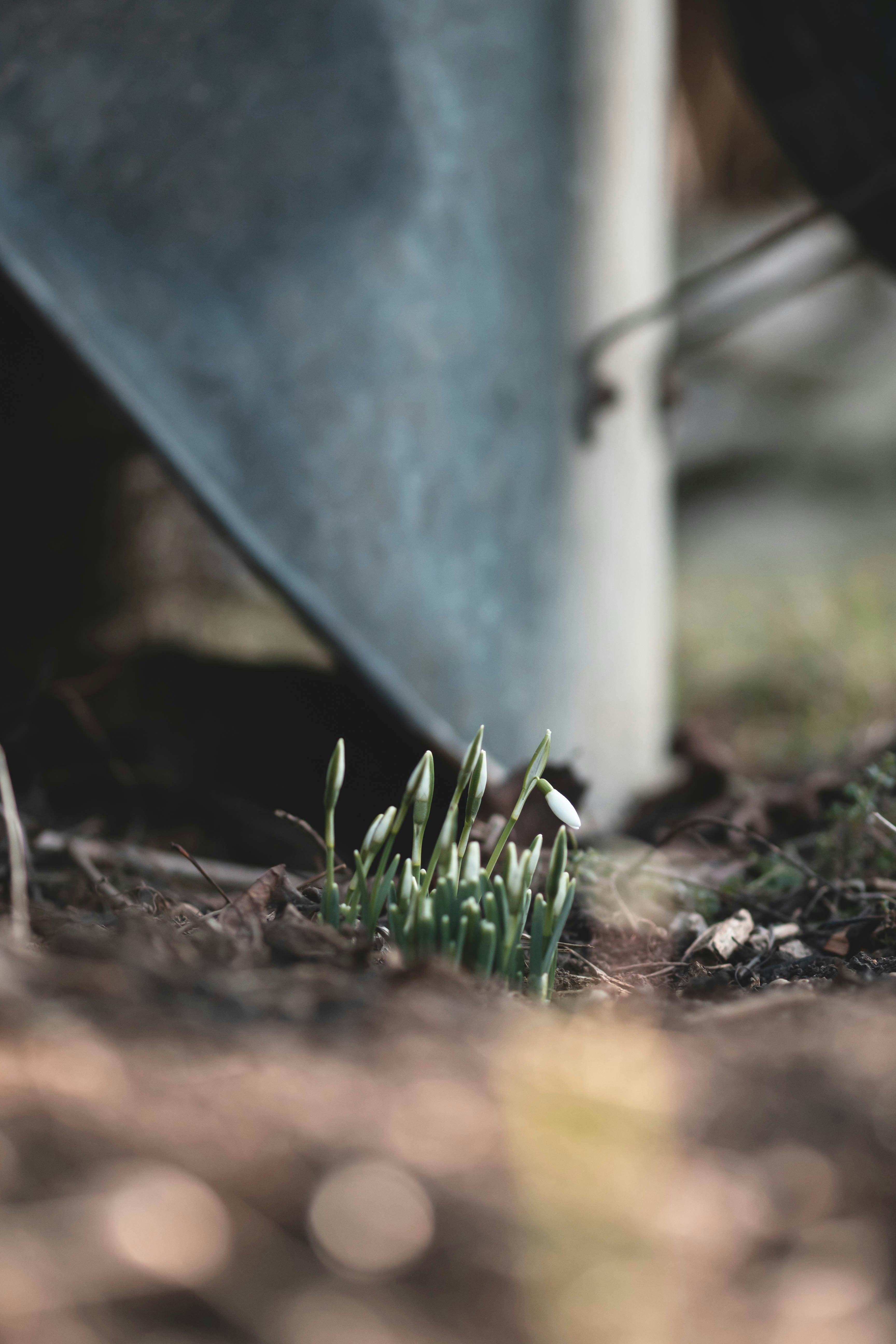 Photo by eileen_kummer