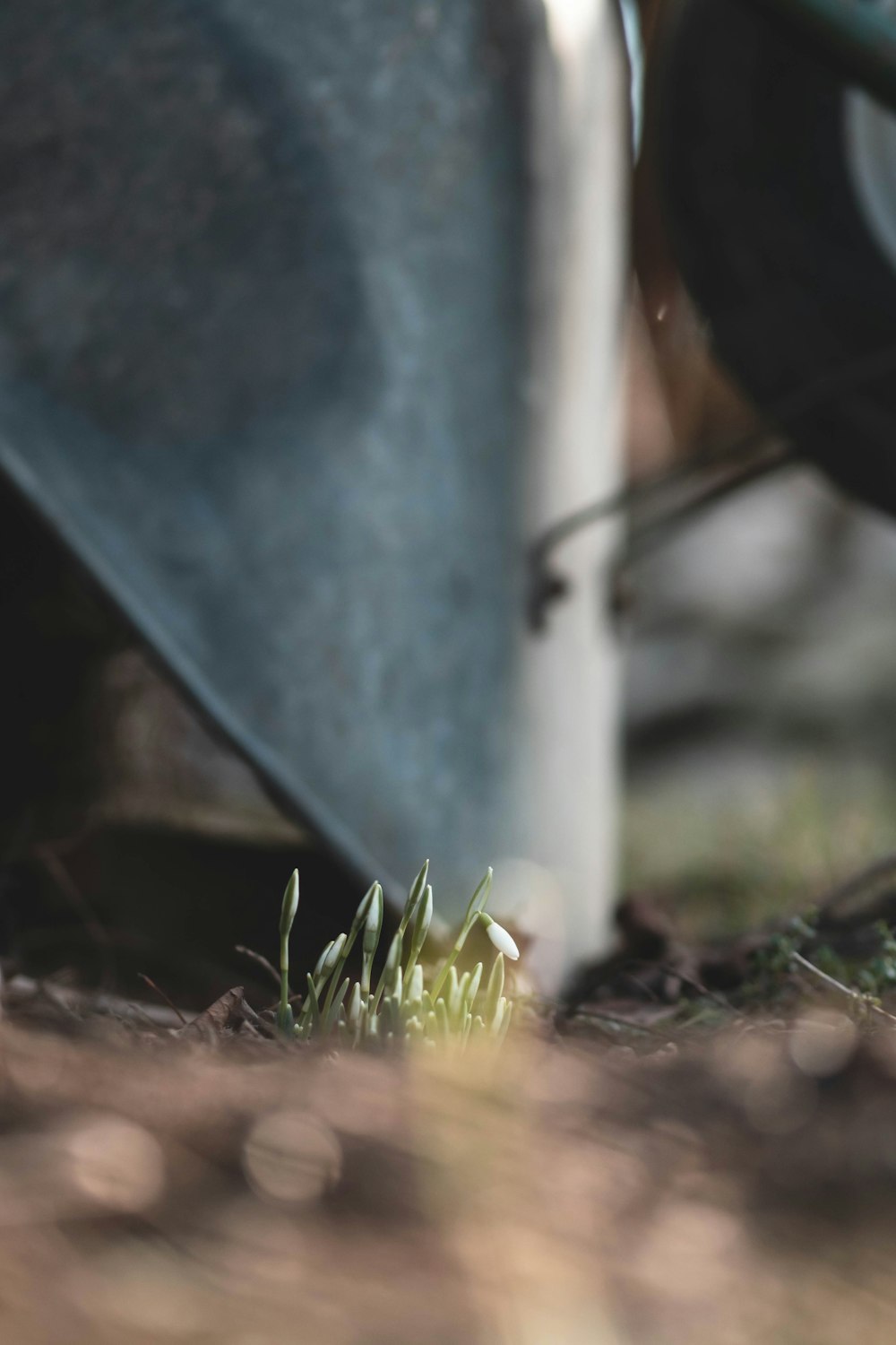 a close up of a wheelbarrow with grass growing out of it