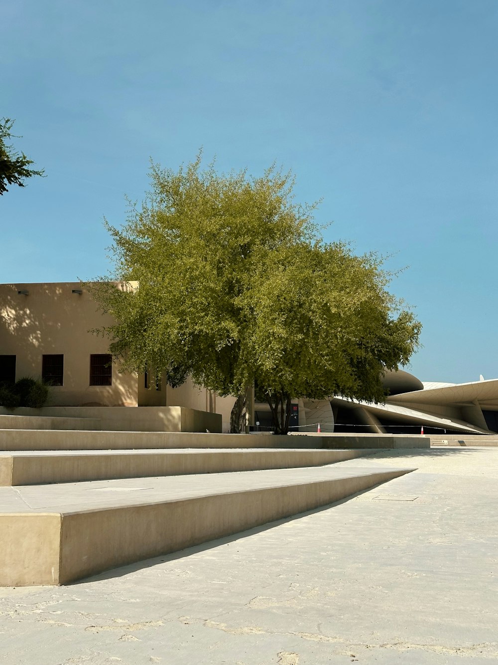 a building with a tree in front of it