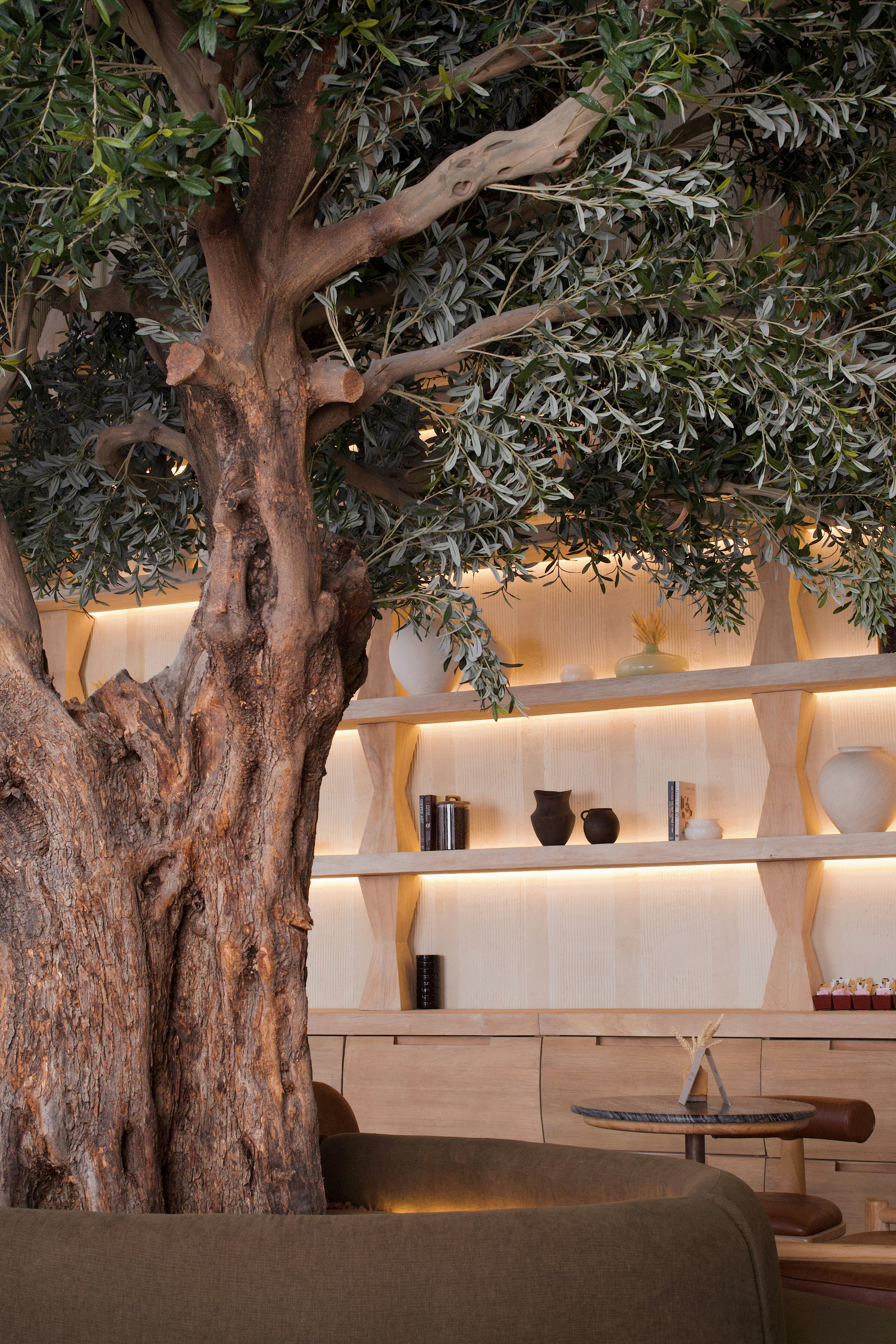a living room with a tree in the middle of the room